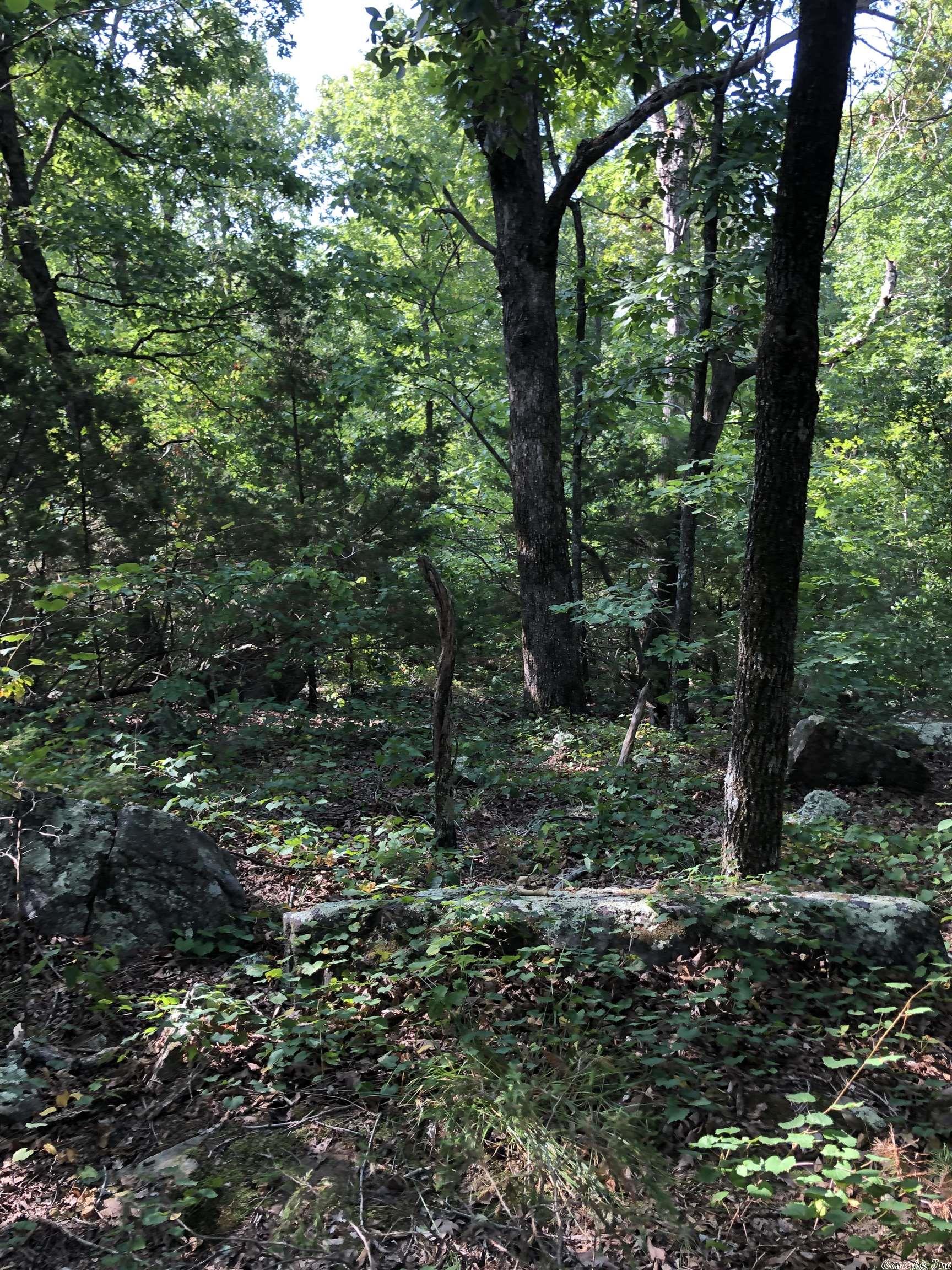 Not in Subdivision - Land