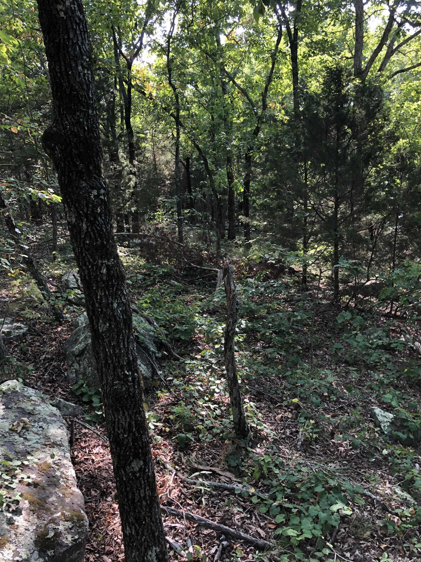 Not in Subdivision - Land