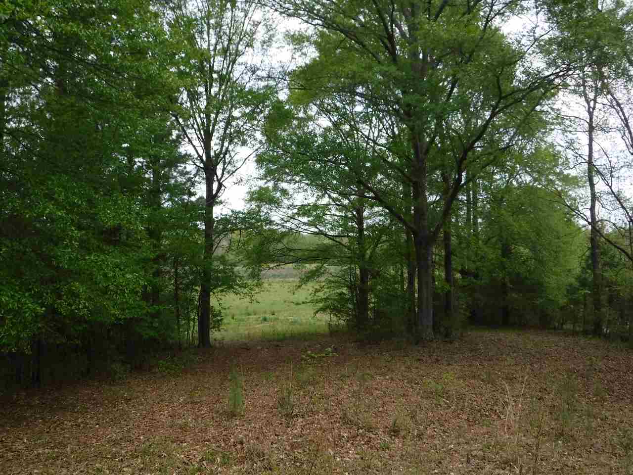 Metes & Bounds - Land