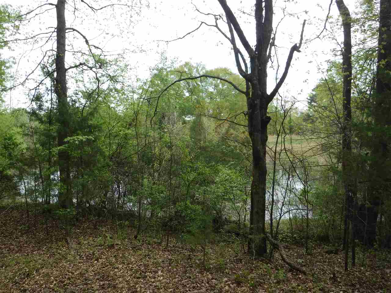 Metes & Bounds - Land