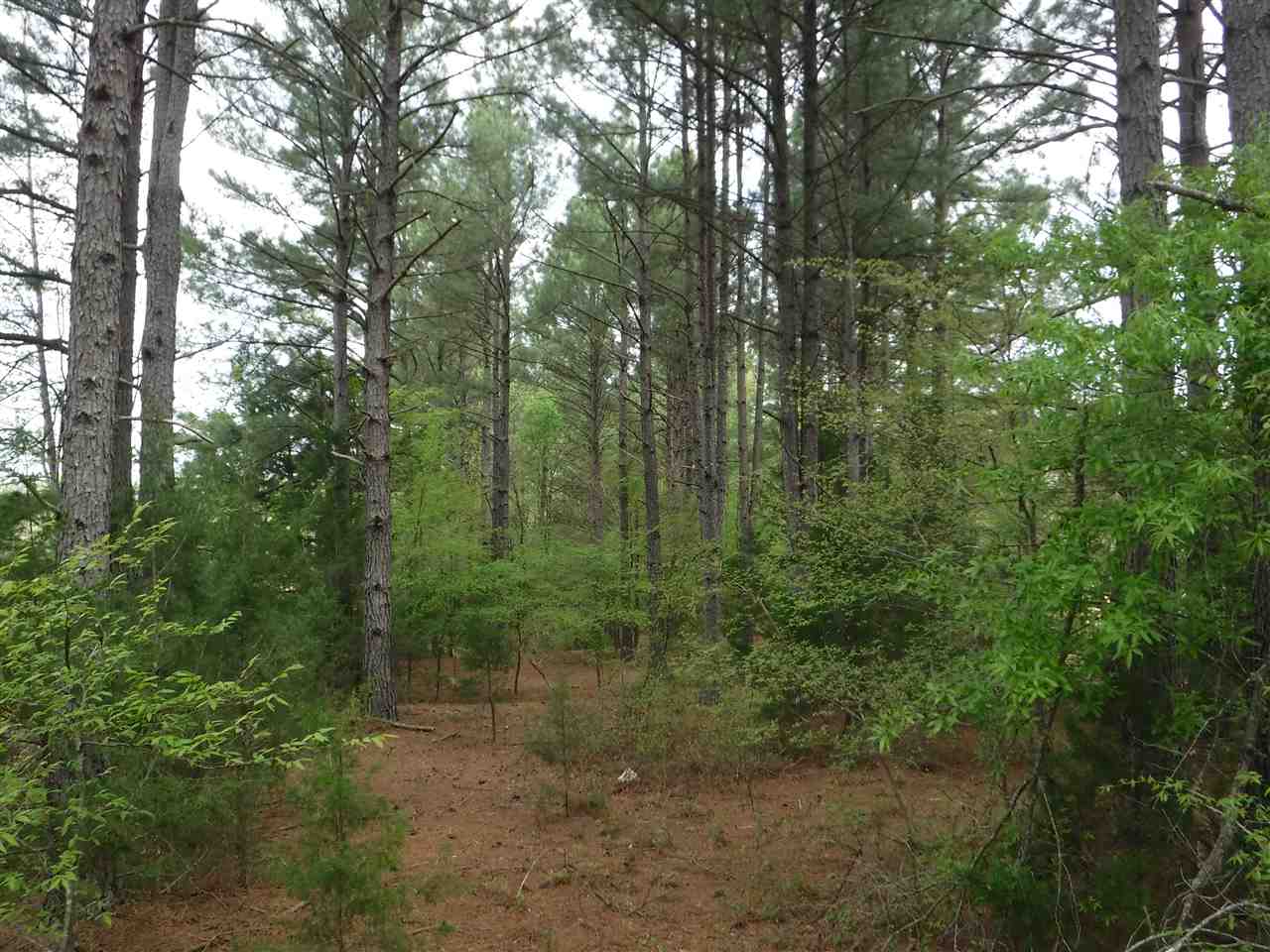 Metes & Bounds - Land