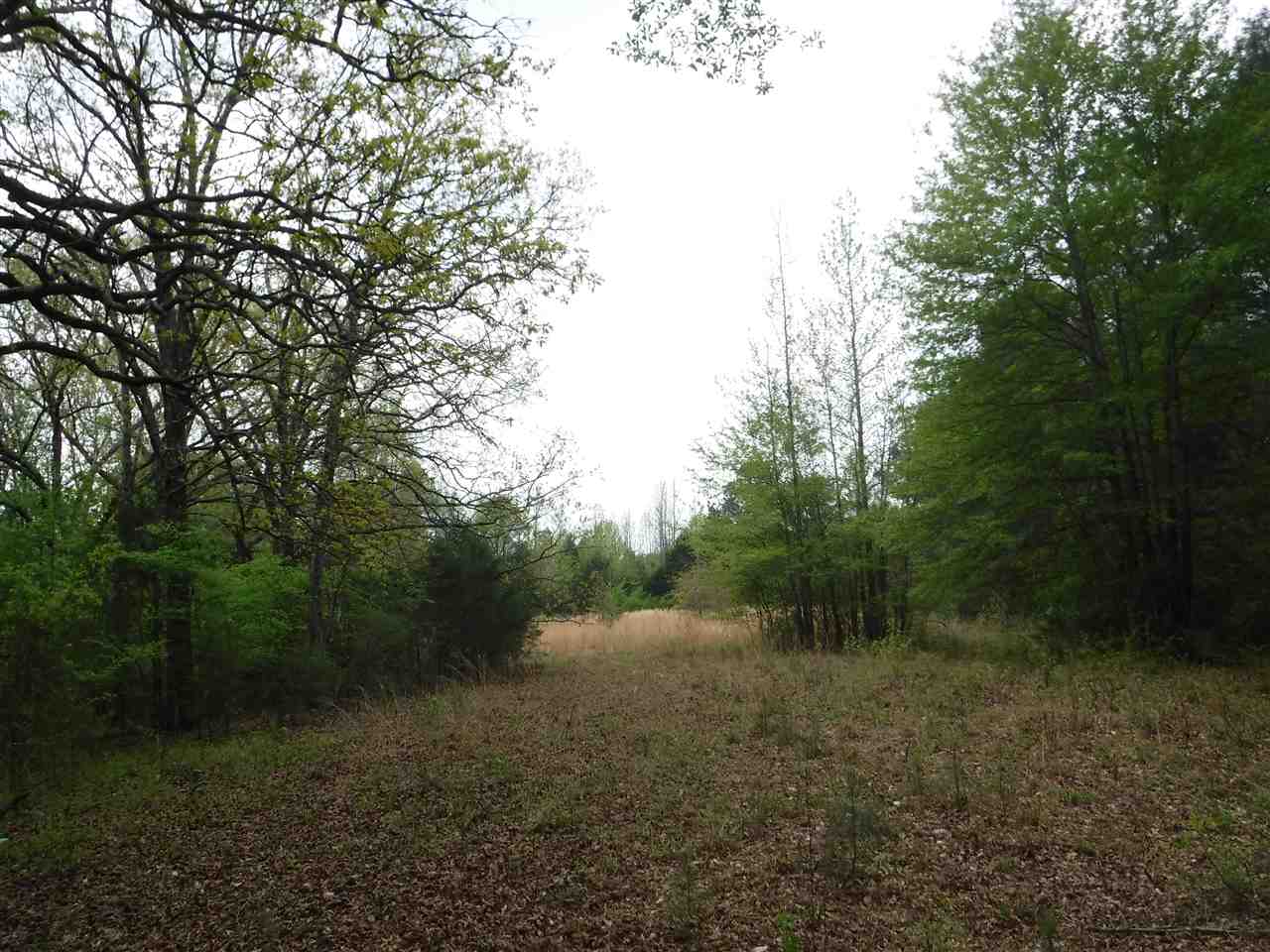 Metes & Bounds - Land