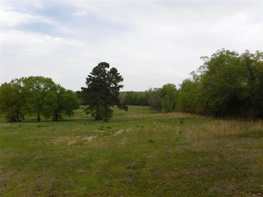 This 34 ac in Wooster, AR is a mixed use recreational, ranchland, development tract.  One of the most desirable areas of Faulkner County is growing fast.  Perfect location to build your dream home.  Remote, but convenient to Conway and Little Rock.  Good whitetail deer, turkey, and small game hunting.  You can even shoot some ducks from the flooded timber off of Greenbrier Creek.  Good road frontage at the dead end of Keathly Road off of Hwy 25.  Build Dream home on front and hunt the rest!