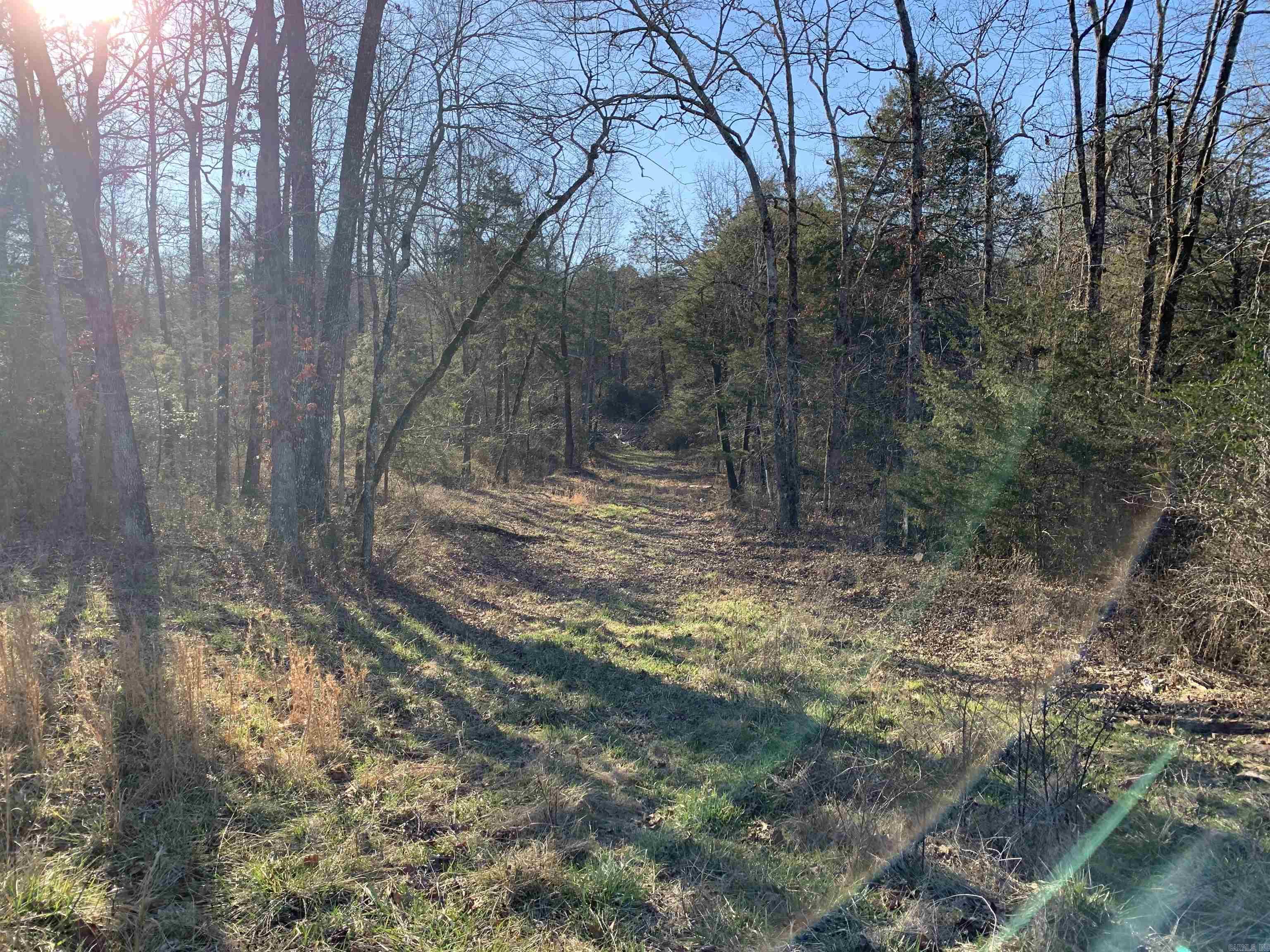 Metes & Bounds - Farm