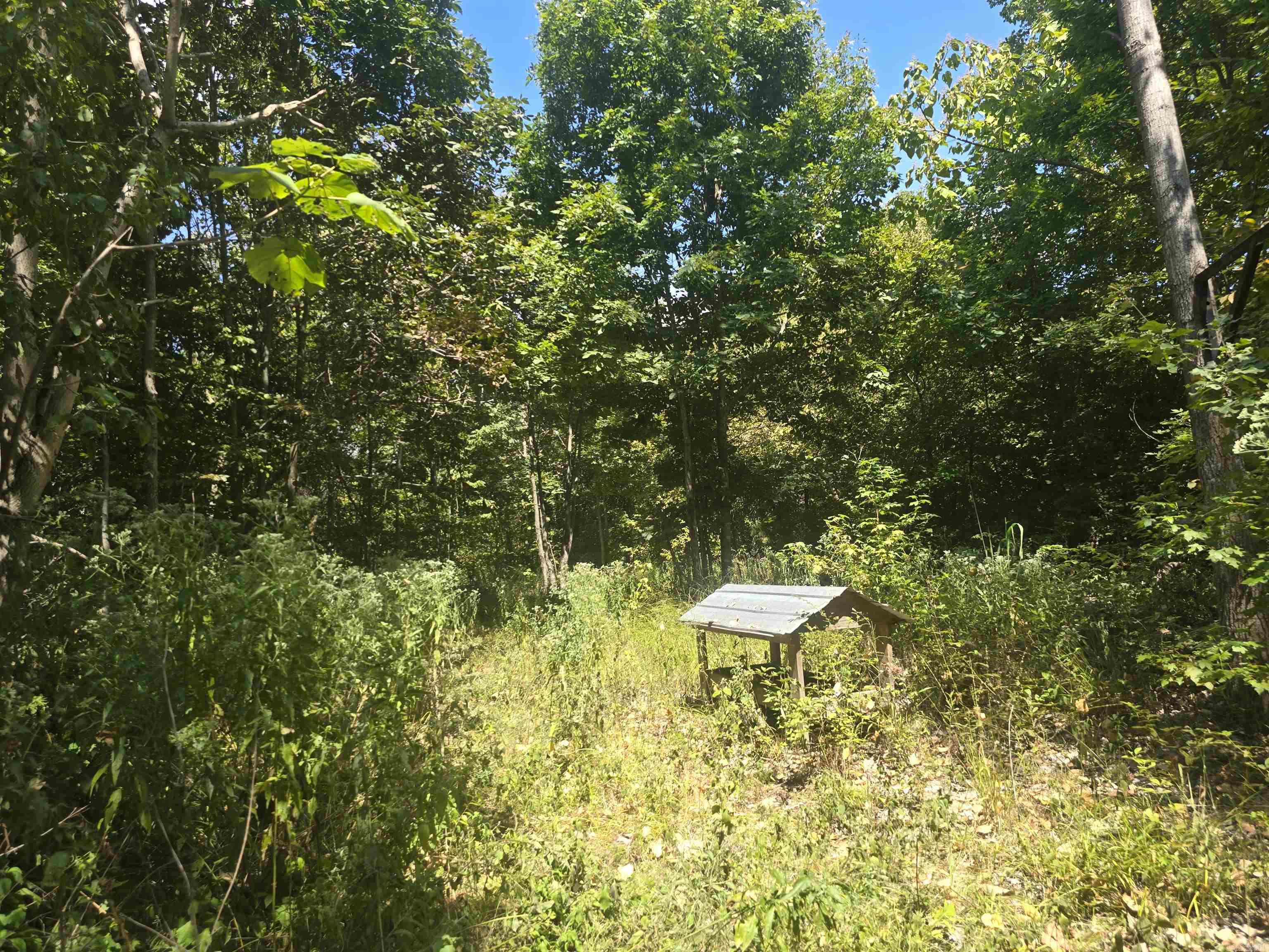 Metes & Bounds - Land