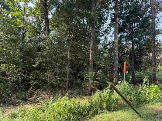 CASTLE VALLEY RD, MABELVALE, AR 72103 - Image 84390d2f2ec79570ae2644e01bd5a2b2/3666853648