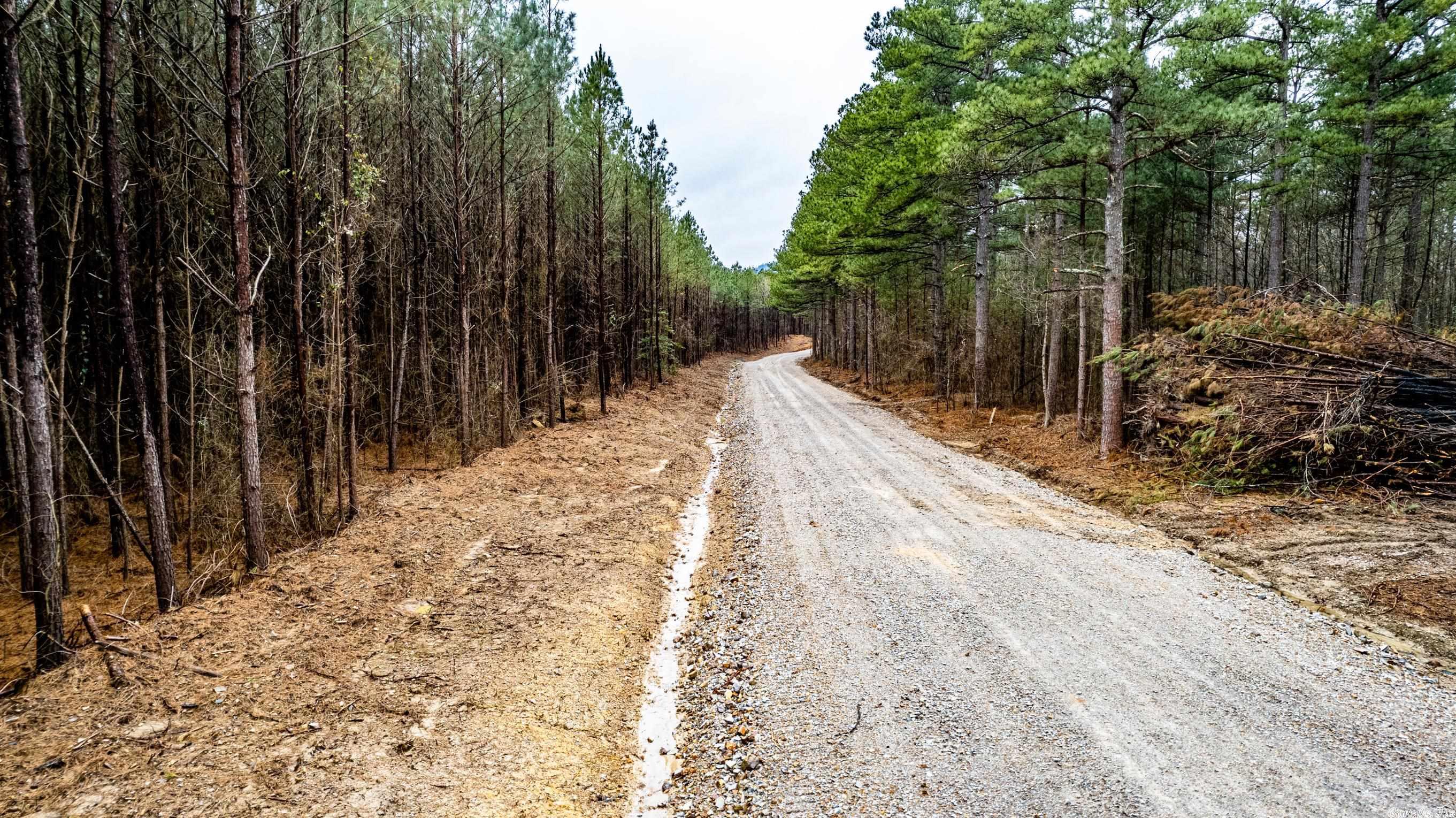 Peaceful Valley - Land
