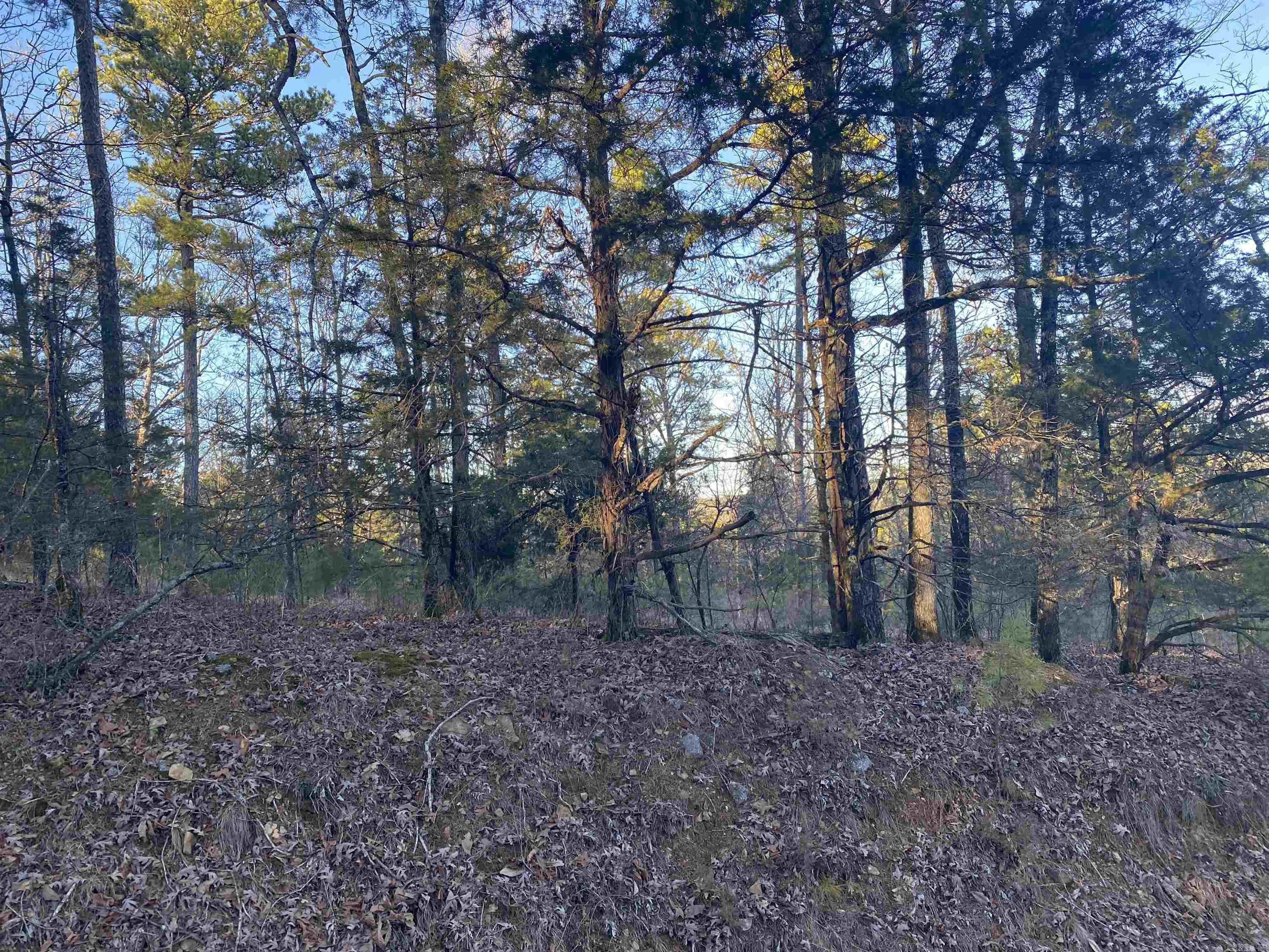 Metes & Bounds - Land