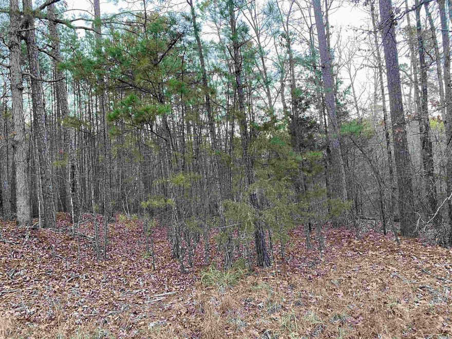 69.40 Acres on Mountain Park Road & Cobalt Bay Road. Mineral rights do not convey. A deed restriction will be put on the property when sold ( No mobile home, travel trailer, motor home, manufactured home or any other type trailer shall be placed or permitted to remain on property for residential use, either temporarily or permanently). Great hunting land.