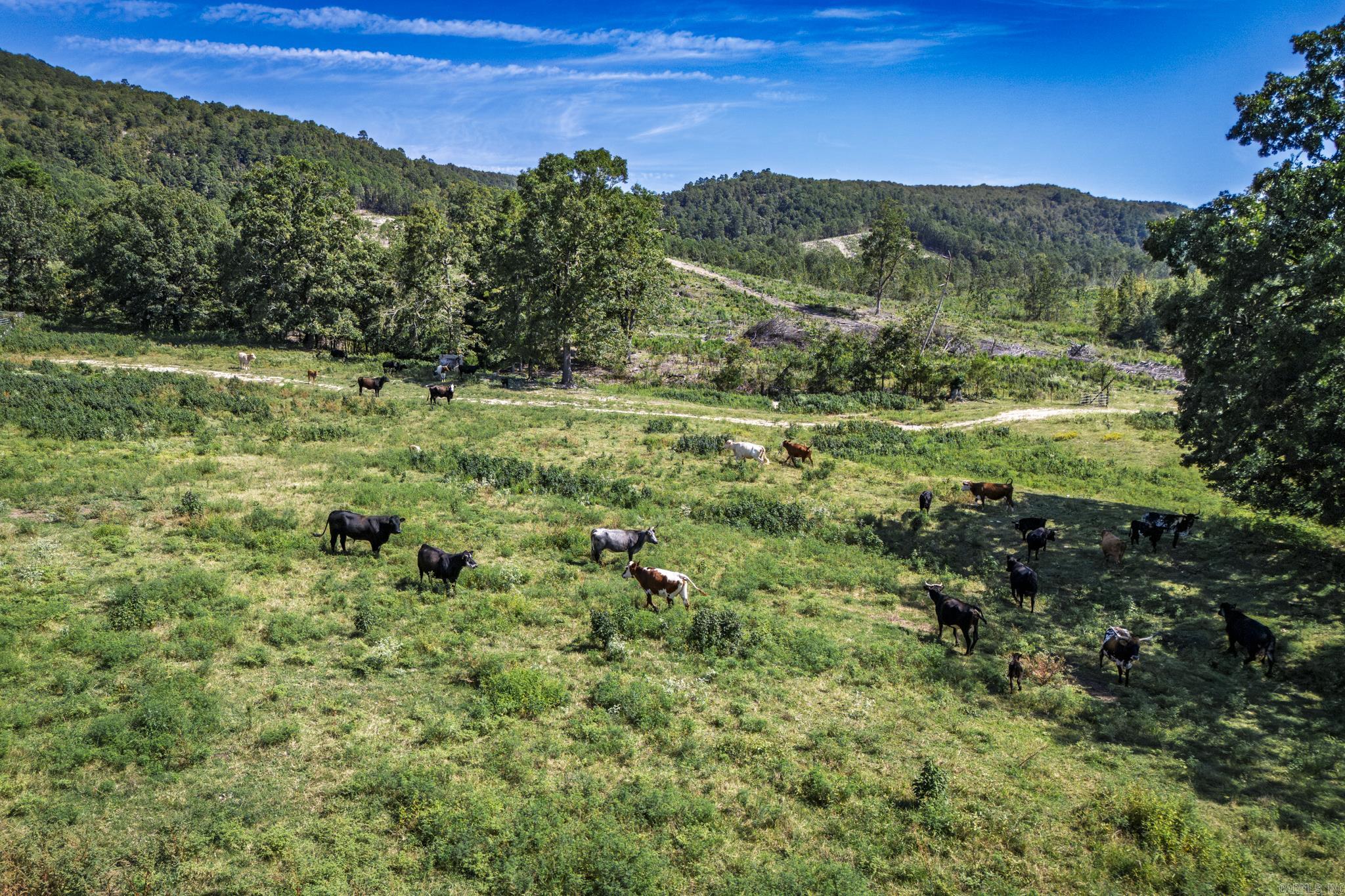 Metes & Bounds - Land