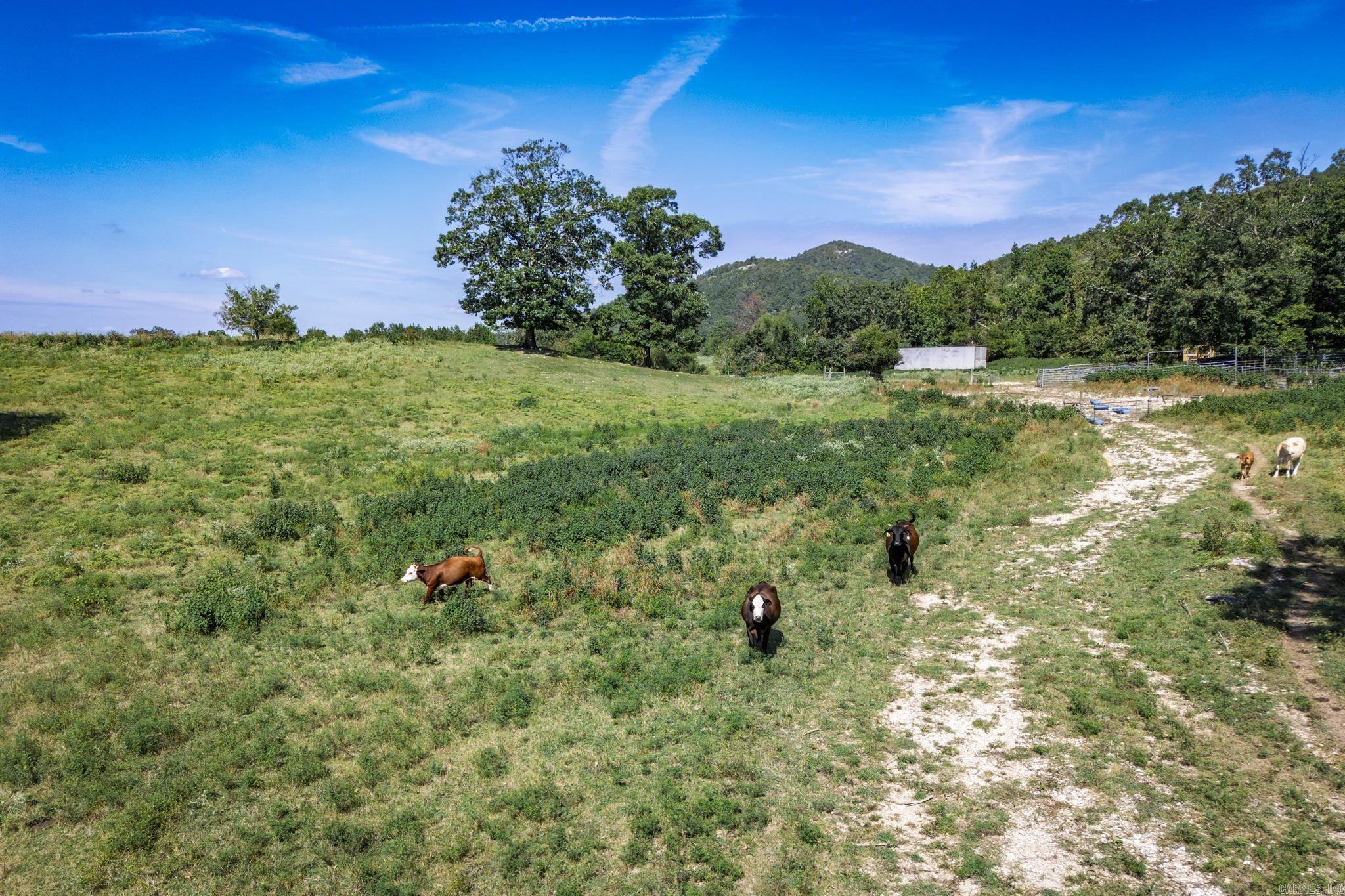 Metes & Bounds - Land