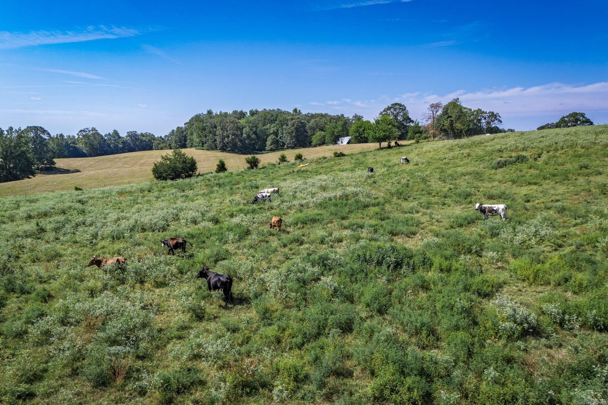 Metes & Bounds - Land