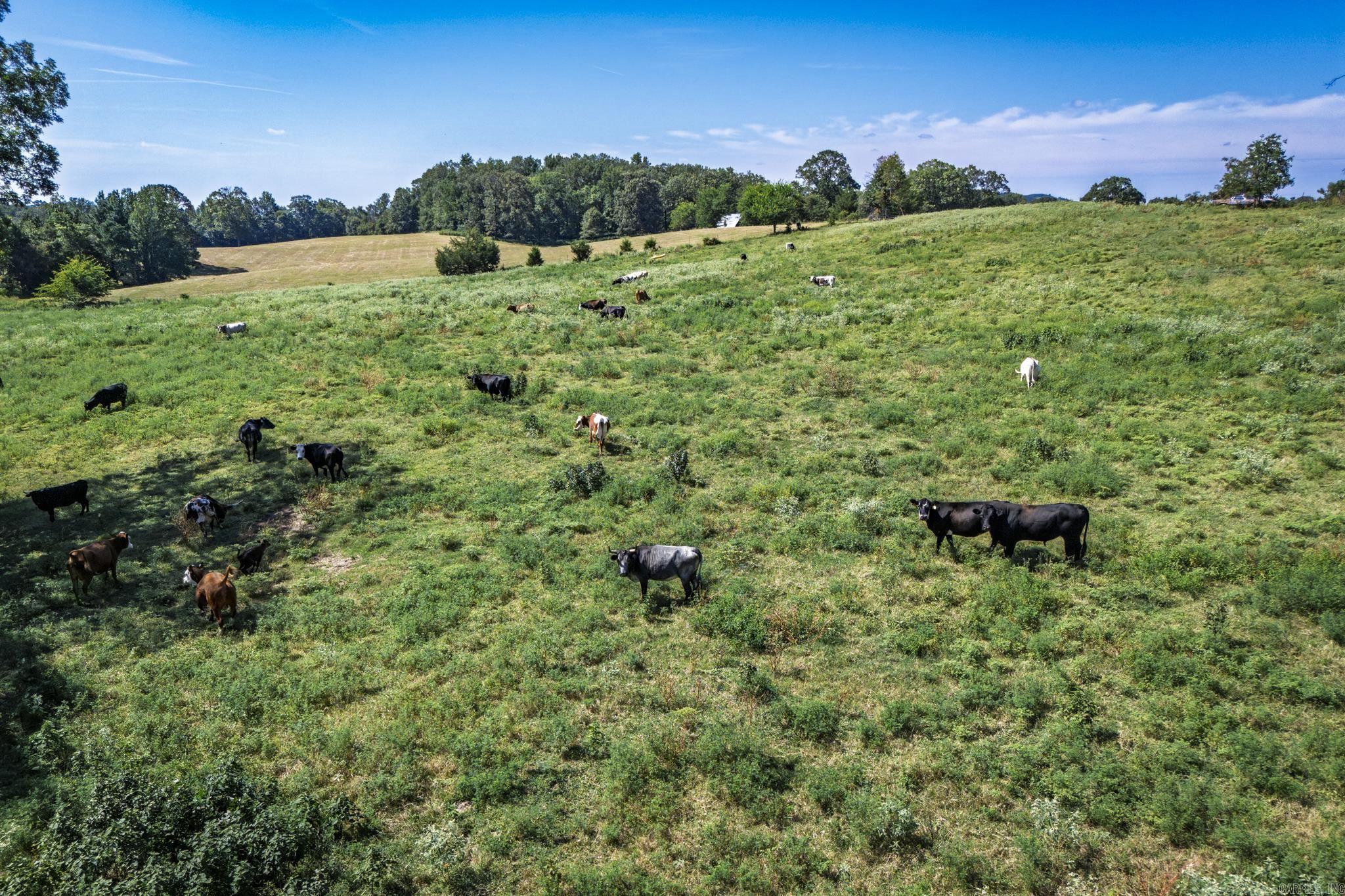 Metes & Bounds - Land