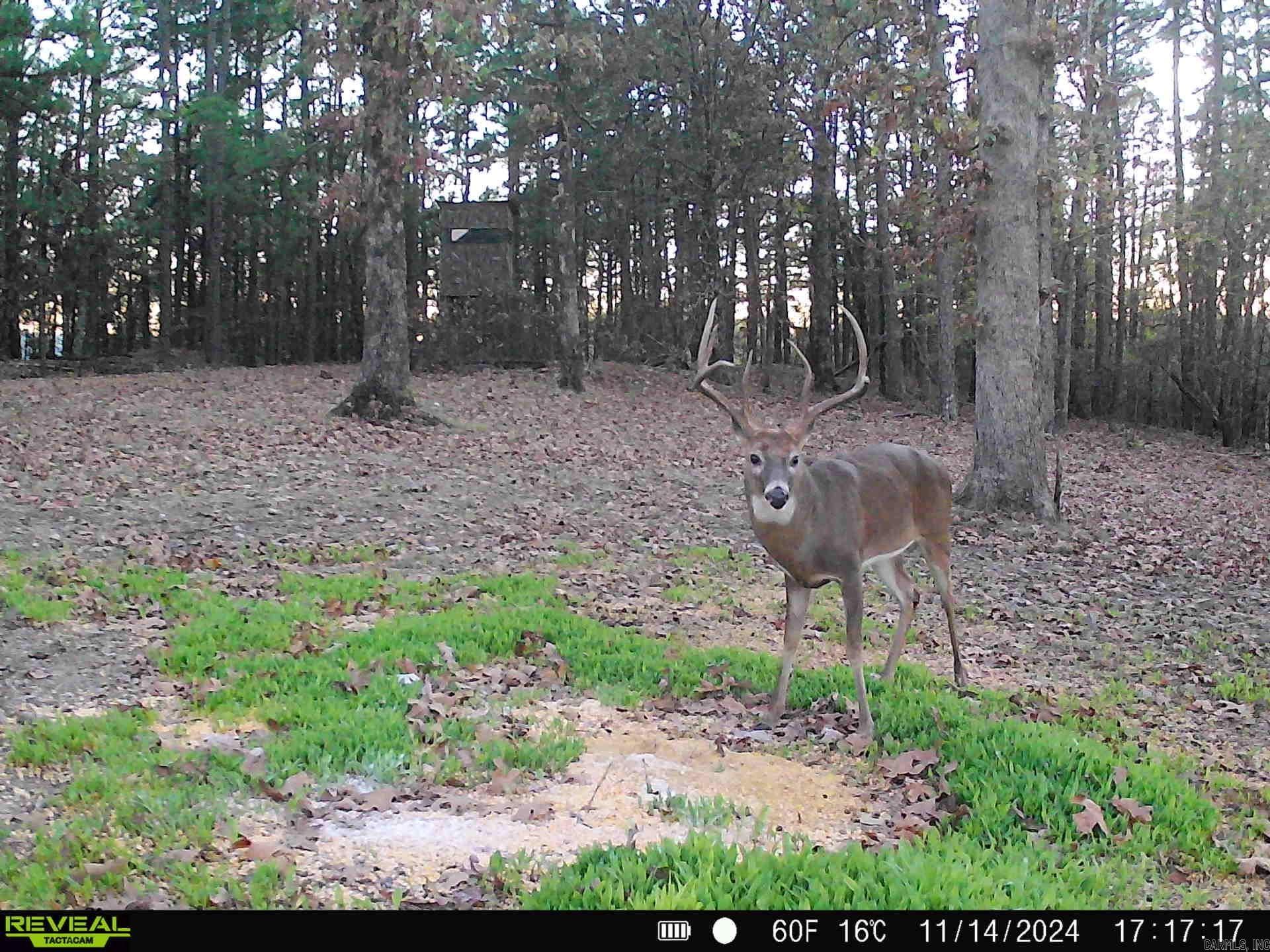 Not in Subdivision - Land