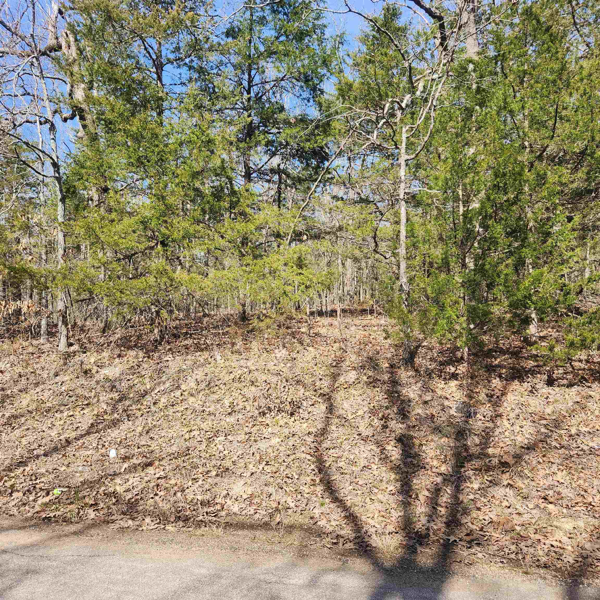 Chickasaw Third - Land