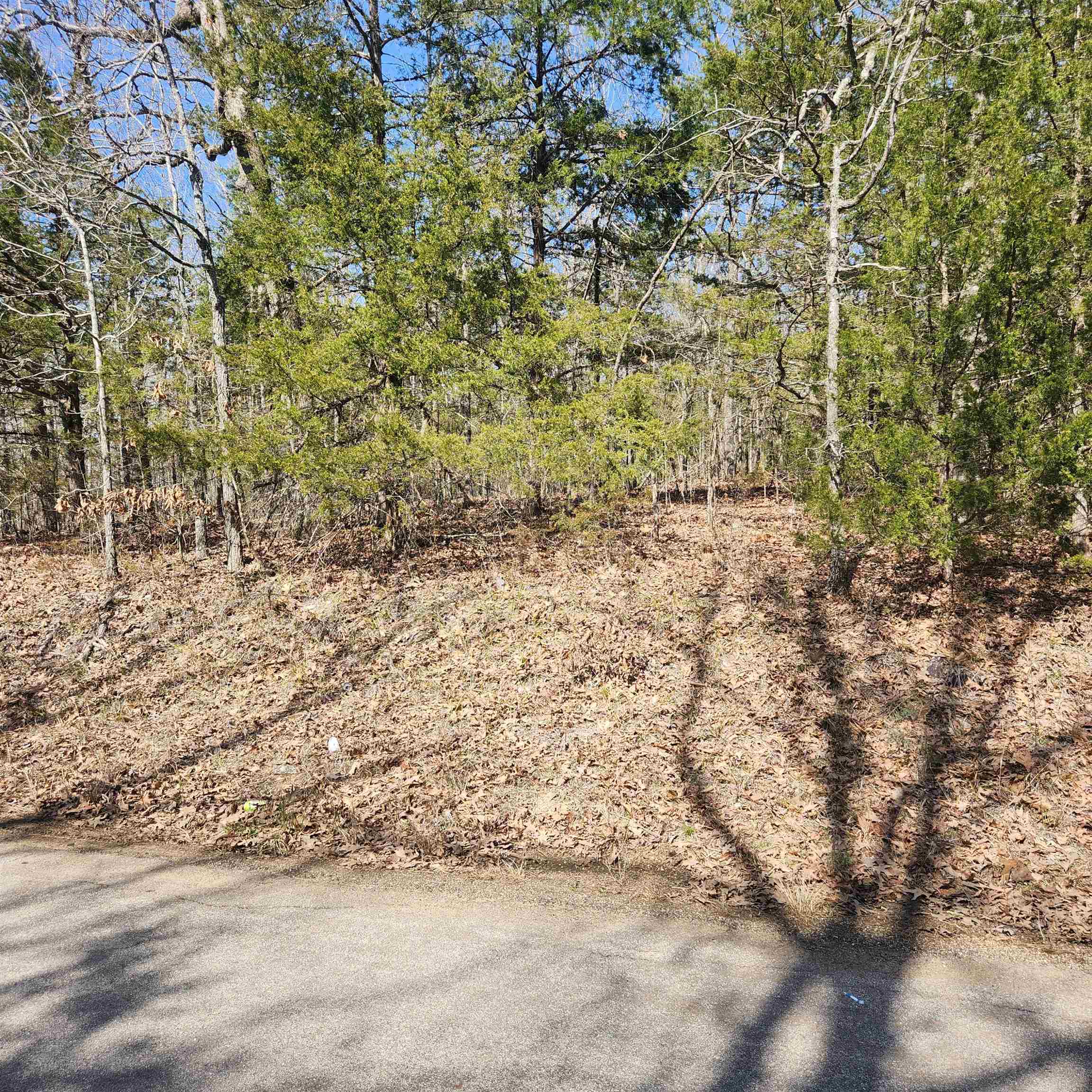 Chickasaw Third - Land