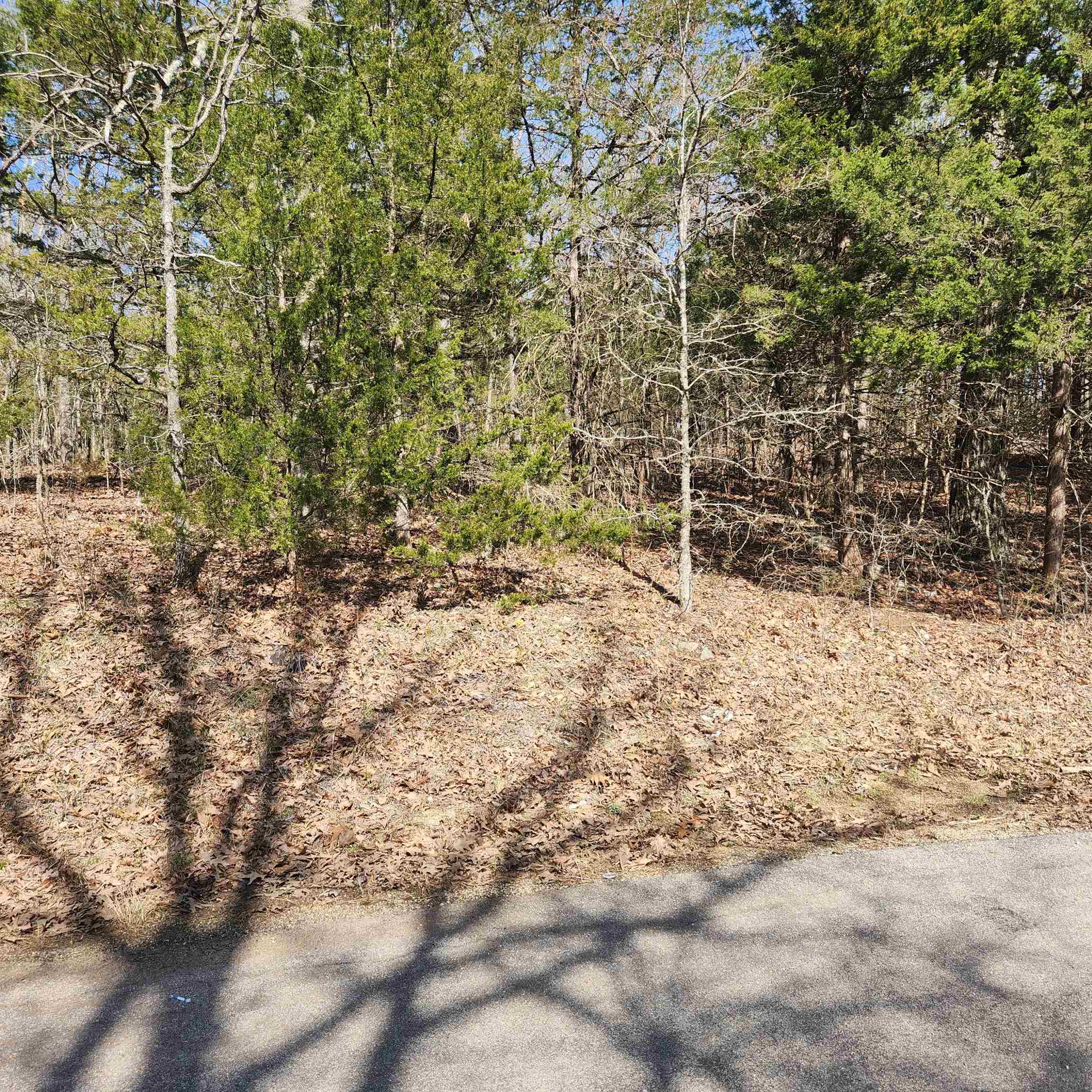 Chickasaw Third - Land