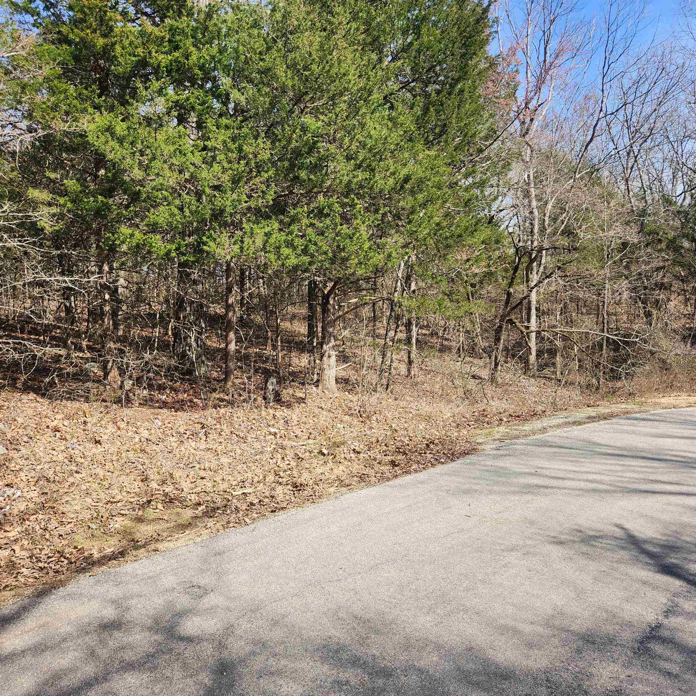 Chickasaw Third - Land