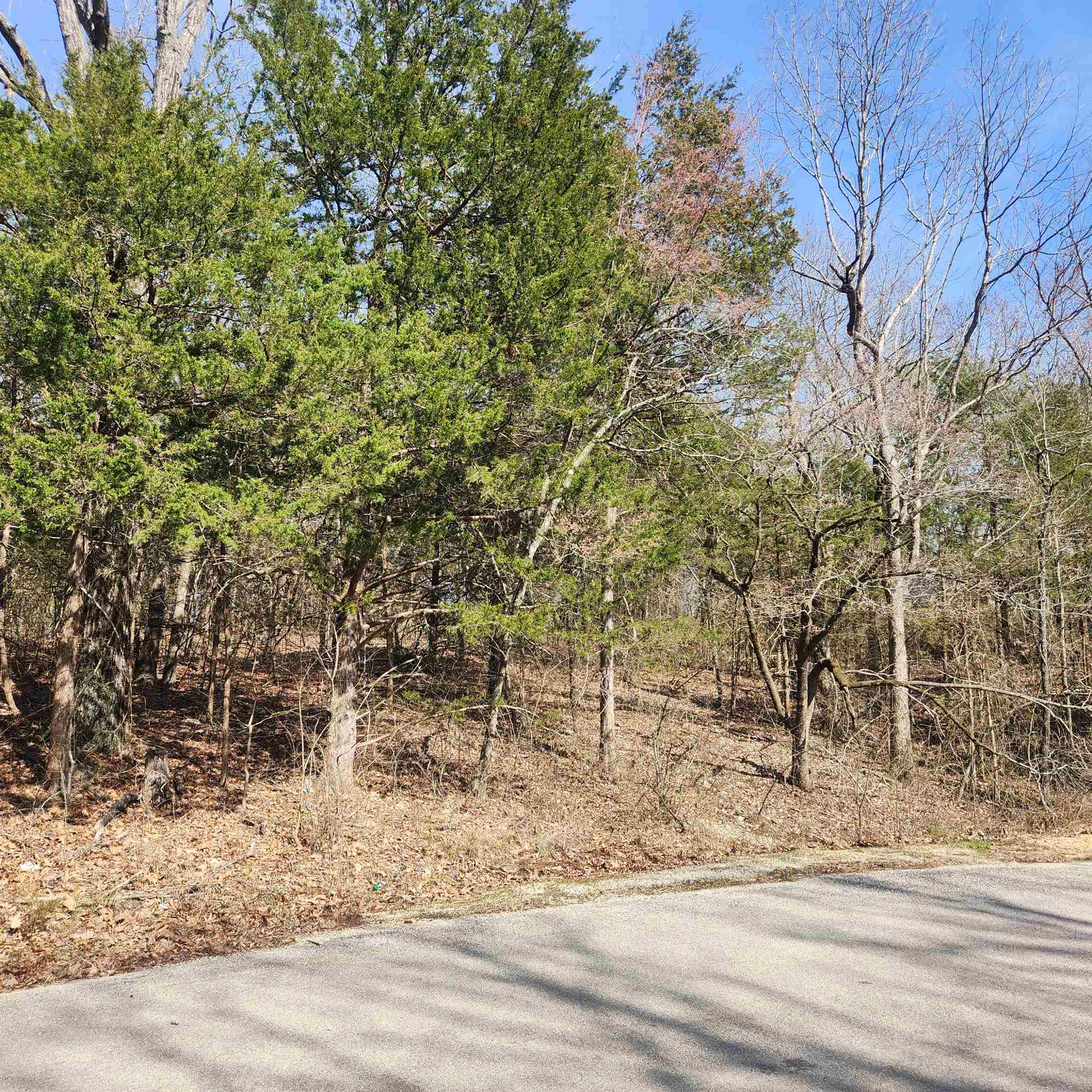 Chickasaw Third - Land