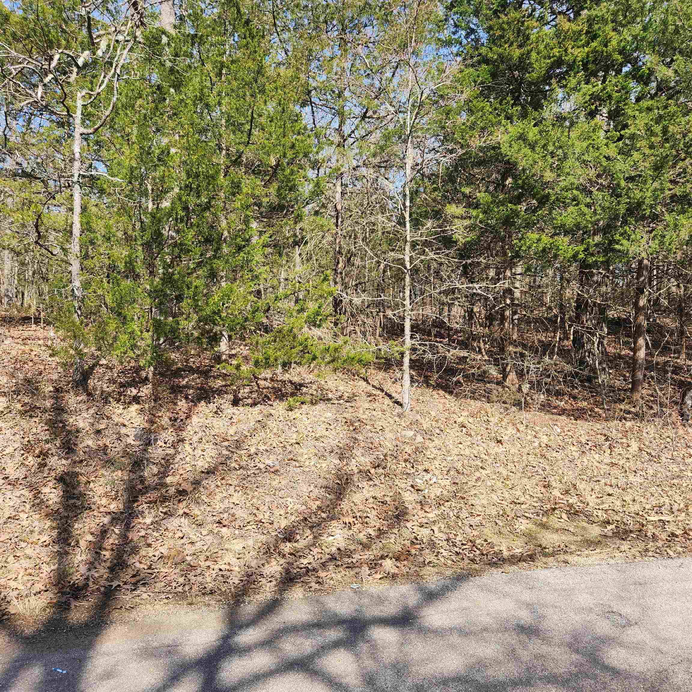 Chickasaw Third - Land