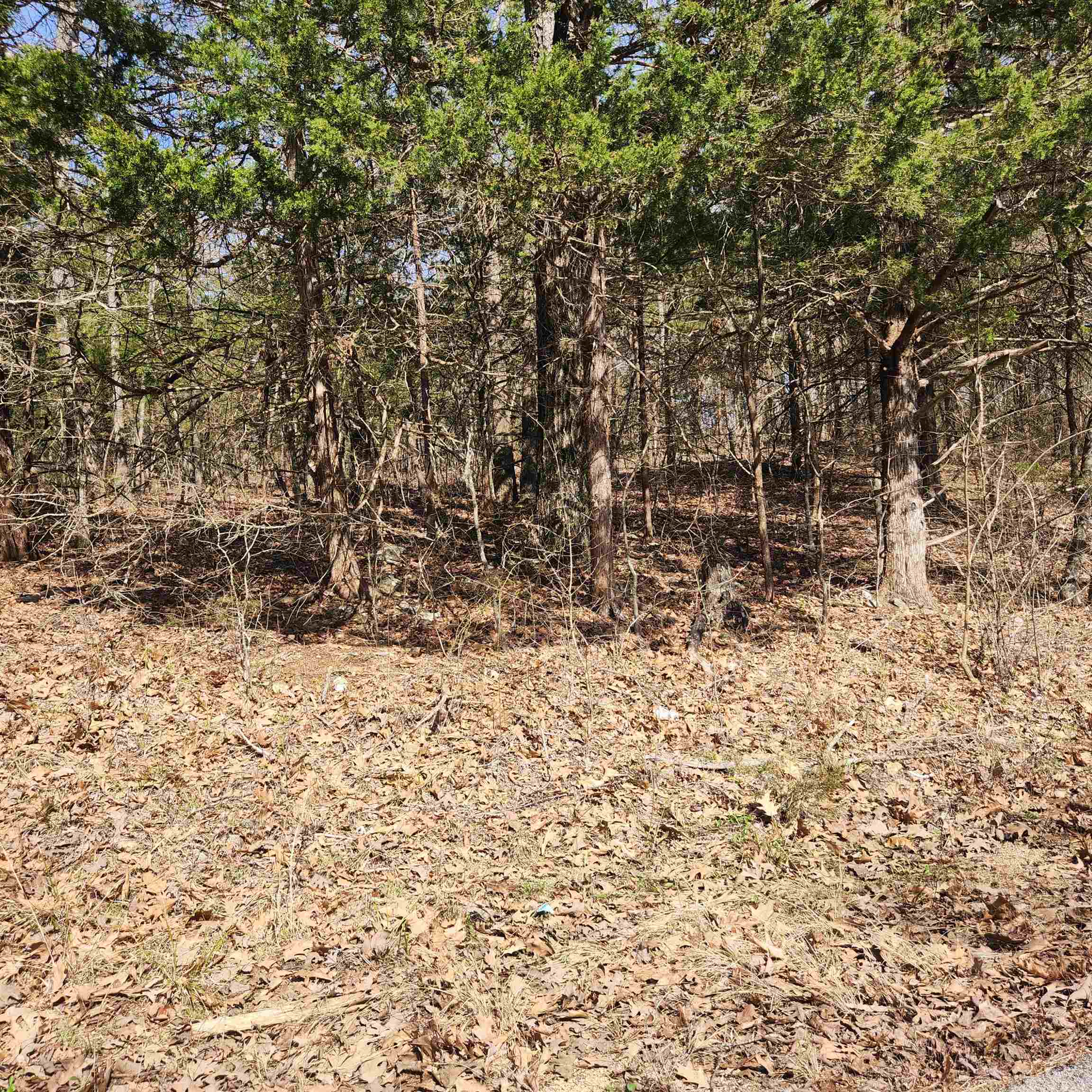 Chickasaw Third - Land