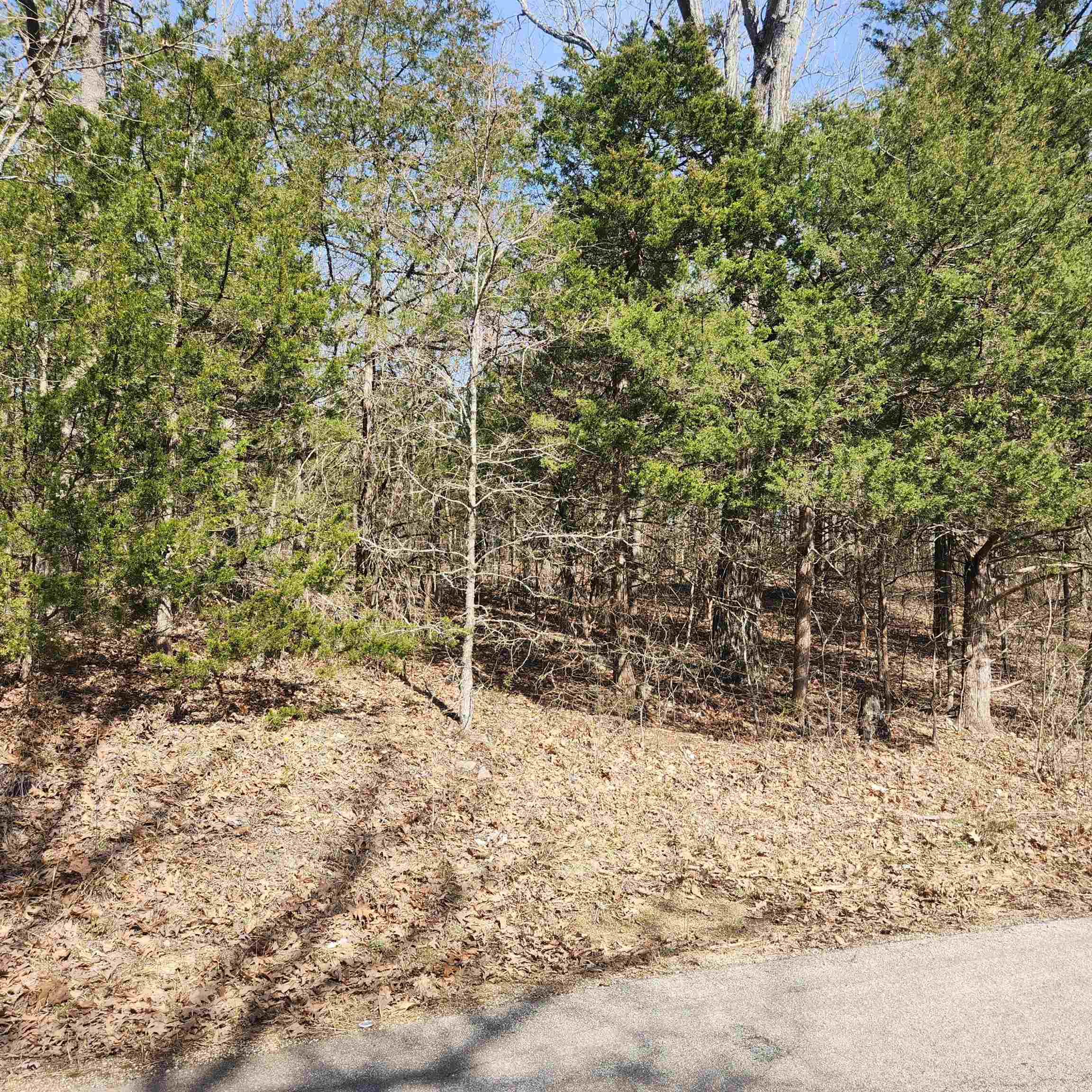 Chickasaw Third - Land