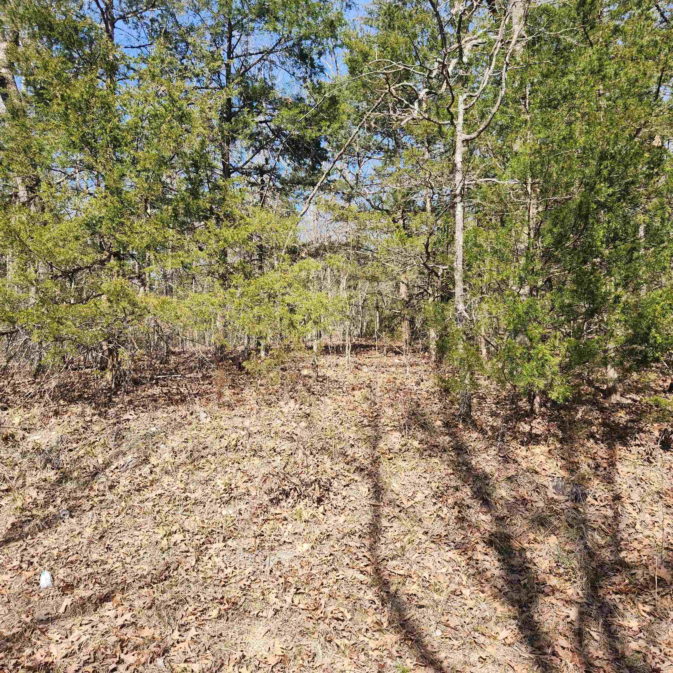 Chickasaw Third - Land