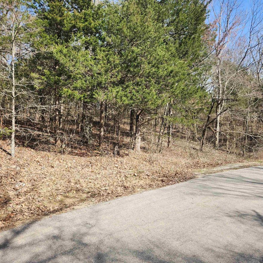 This is a gently sloping lot with an uphill slope. It has easy access to the 4-lane highway for shopping and dining. This is a nice, wooded lot just waiting for you to come pick the spot you want to build your dream home on. With property ownership comes access to all the amenities of Cherokee Village. 7 Lakes, 2 Golf courses, 2 recreational centers and don't forget about the beautiful Southfork River that meanders right through Cherokee Village.