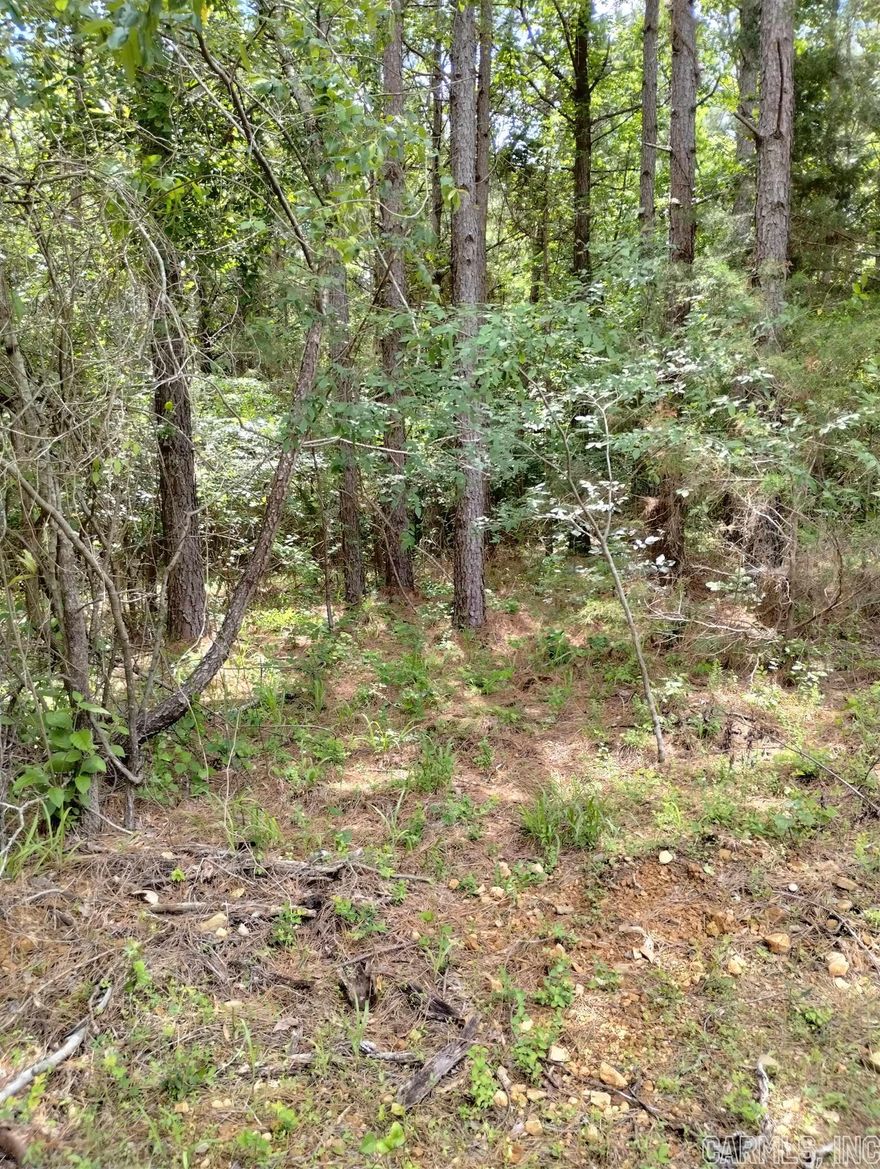 PERFECT LOCATION for your site-built or forever homestead close to the Centerpoint Schools.  Water is at the road.