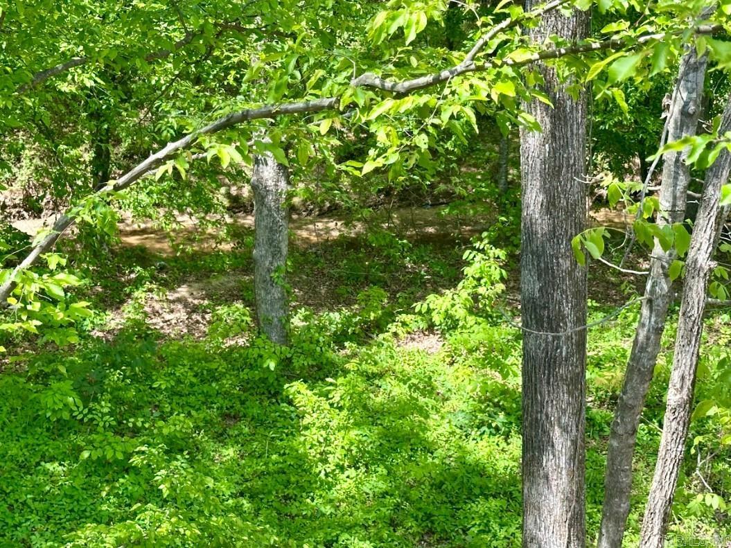 PLEASANT FOREST - Residential