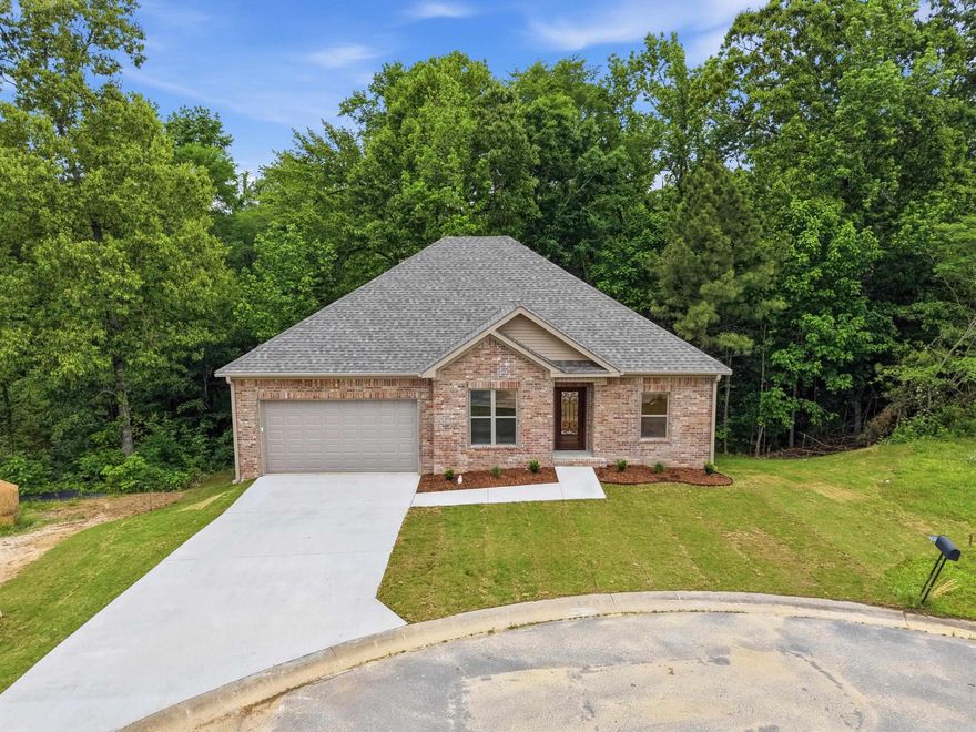 Welcome to 249 Pleasant Holly Drive - A new home with tons of upgrades tucked away in a quite cul-de-sac, in Benton SD. This beautifully built 4 bd/ 2 bath home offers a serene, park-like backyard complete with a picturesque stream. Inside, you'll find an inviting open floor plan with 9' ceilings, and designer finishes throughout. The kitchen overlooks the dining & living areas, includes a breakfast bar, pantry & custom cabinets that stretch all the way up to reach the ceiling. The primary suite is amply sized, features a large walk-in closet & a well-appointed ensuite bath with dual sinks and tile shower. Double doors lead to the huge crawl space that offers tons of storage space. Other notable features include luxury vinyl throughout (no carpet), stainless appliances, gas range, & under cabinet lighting. This home combines comfort, style, and a peaceful setting-perfect for everyday living an entertaining alike.