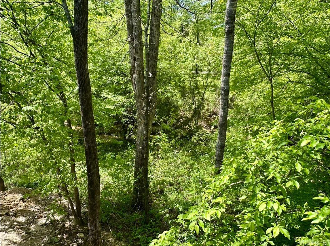 PLEASANT FOREST - Residential