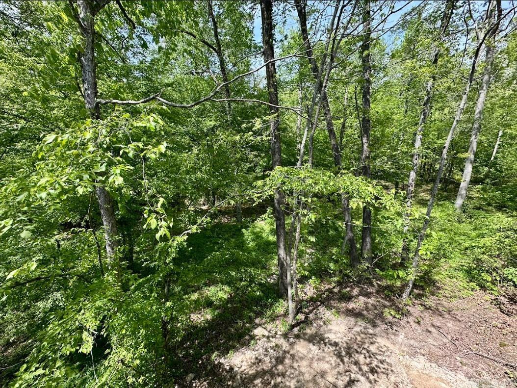 PLEASANT FOREST - Residential