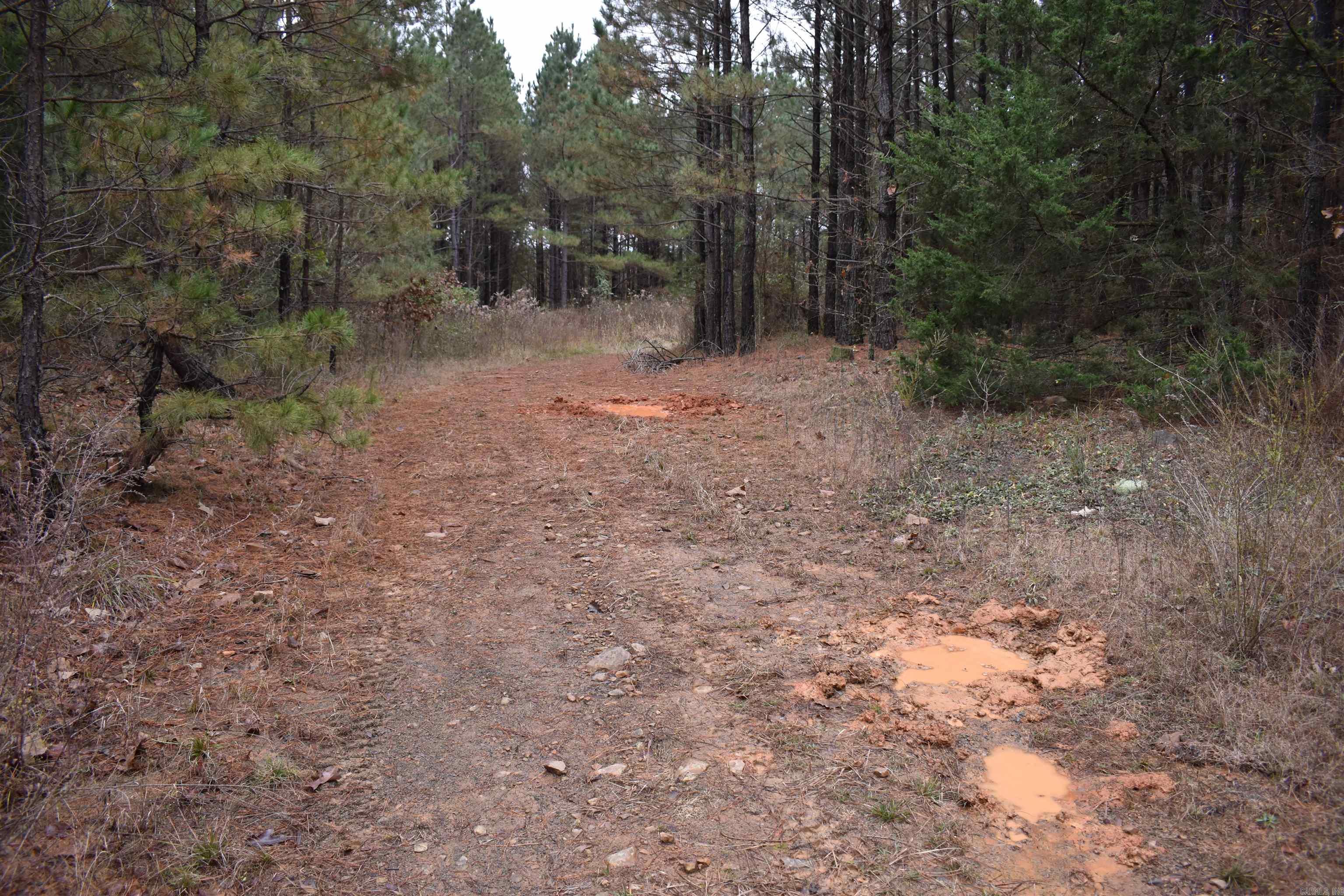 Metes & Bounds - Land