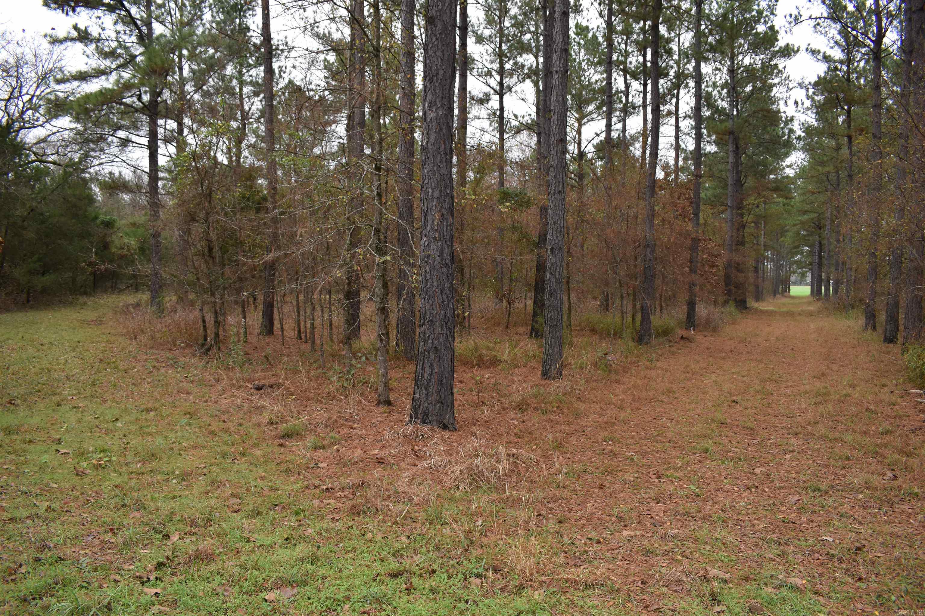 Metes & Bounds - Land