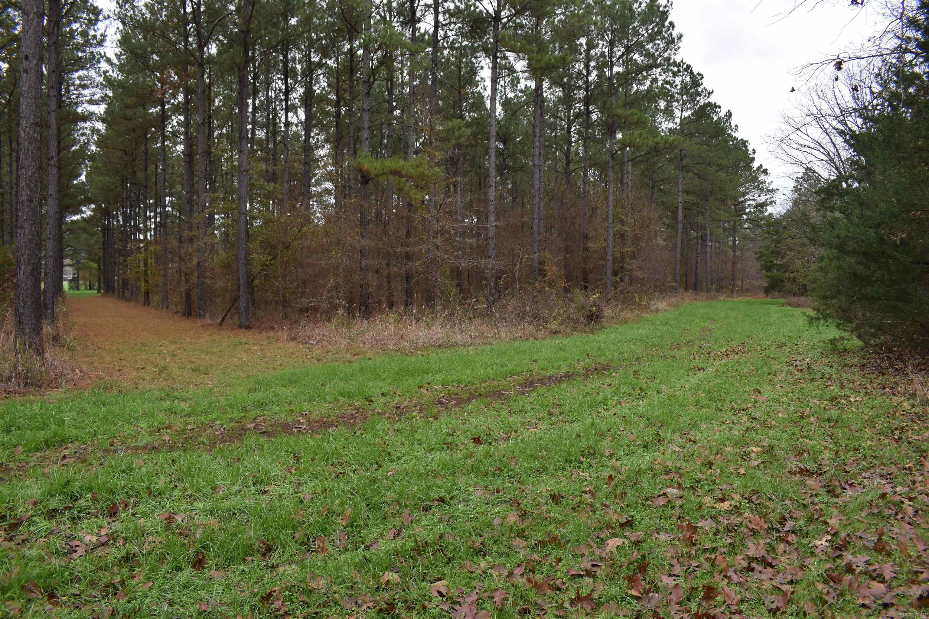 Metes & Bounds - Land