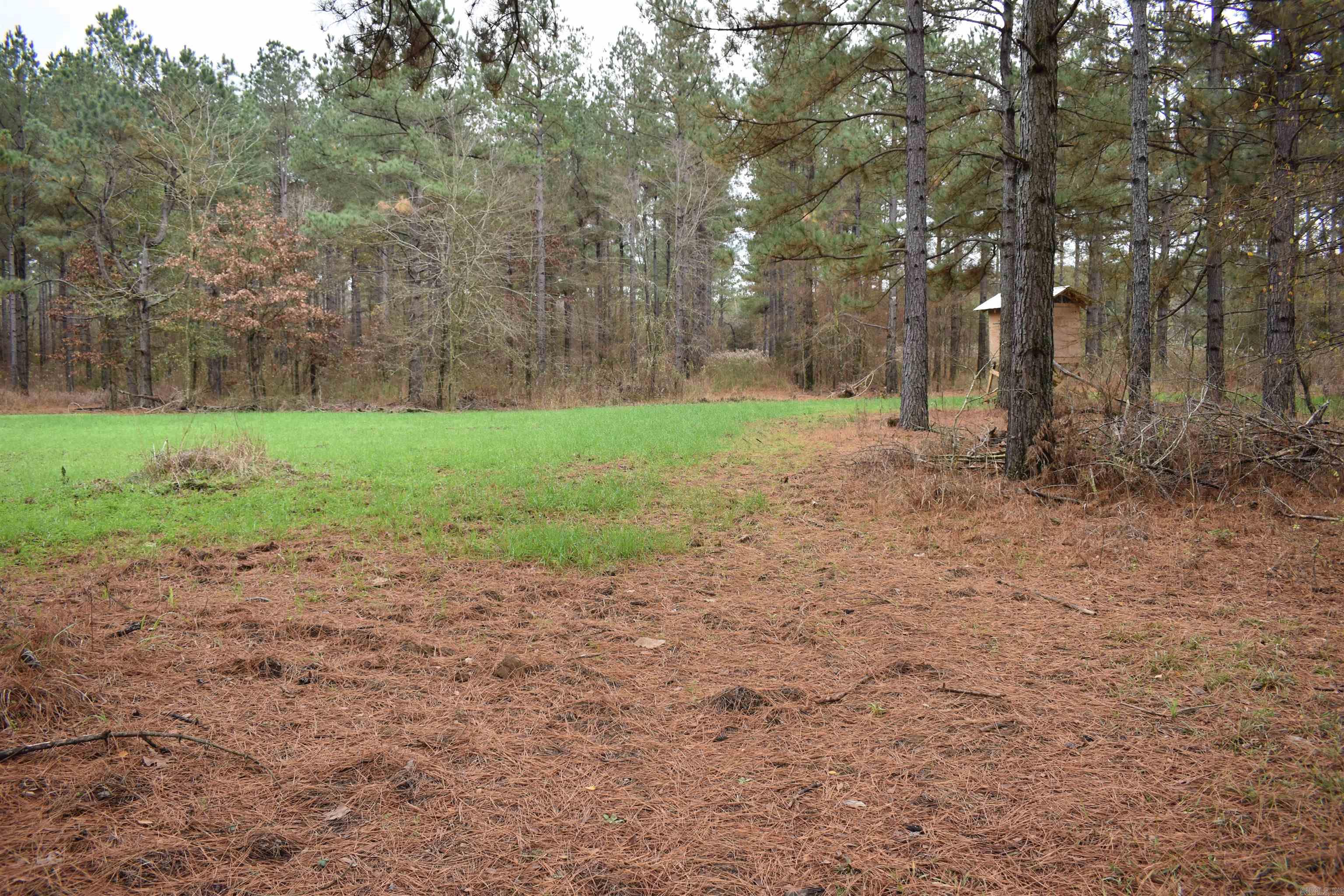 Metes & Bounds - Land