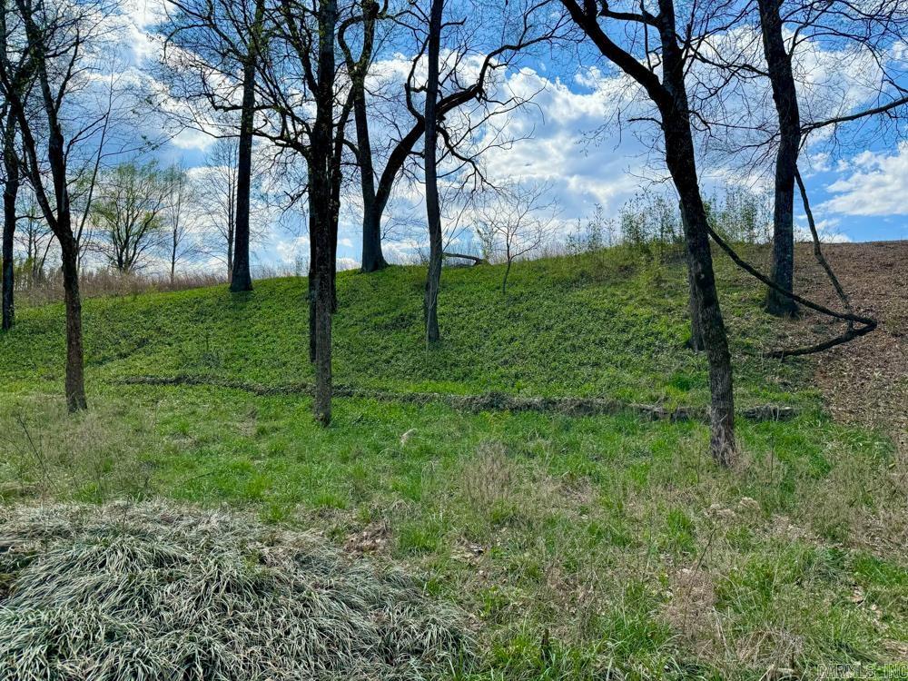 Sneeds Creek Landing - Land