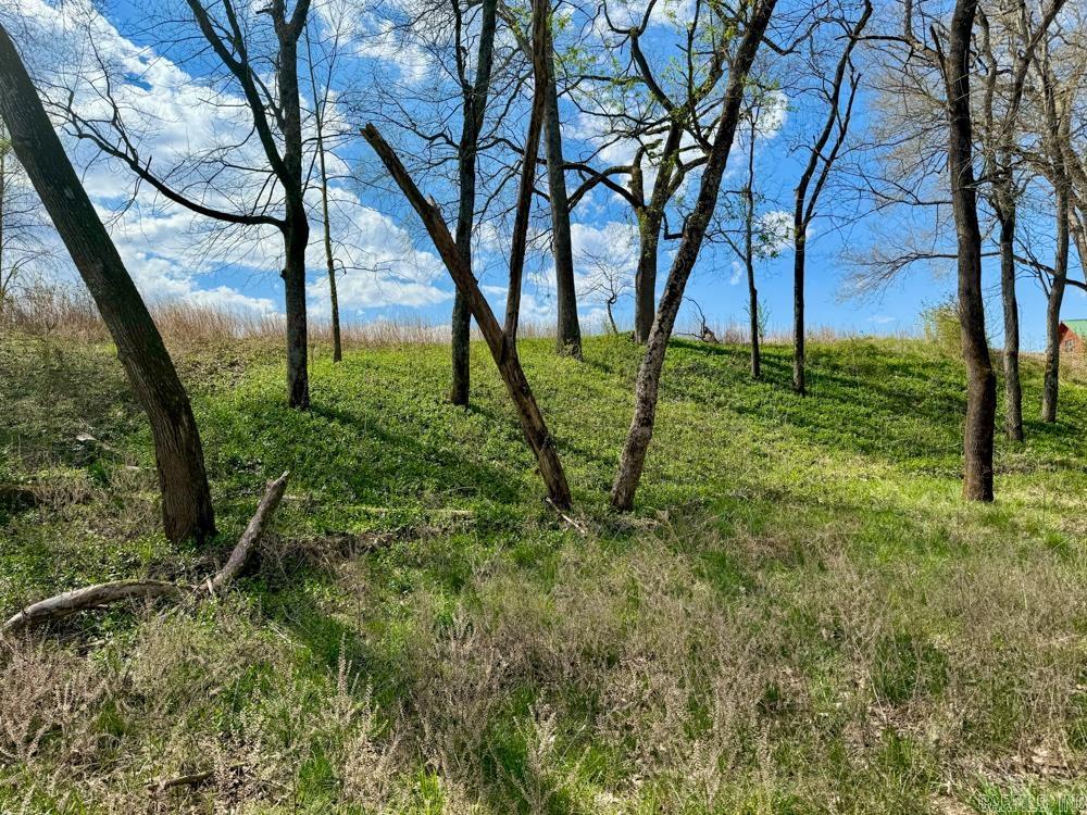 Sneeds Creek Landing - Land