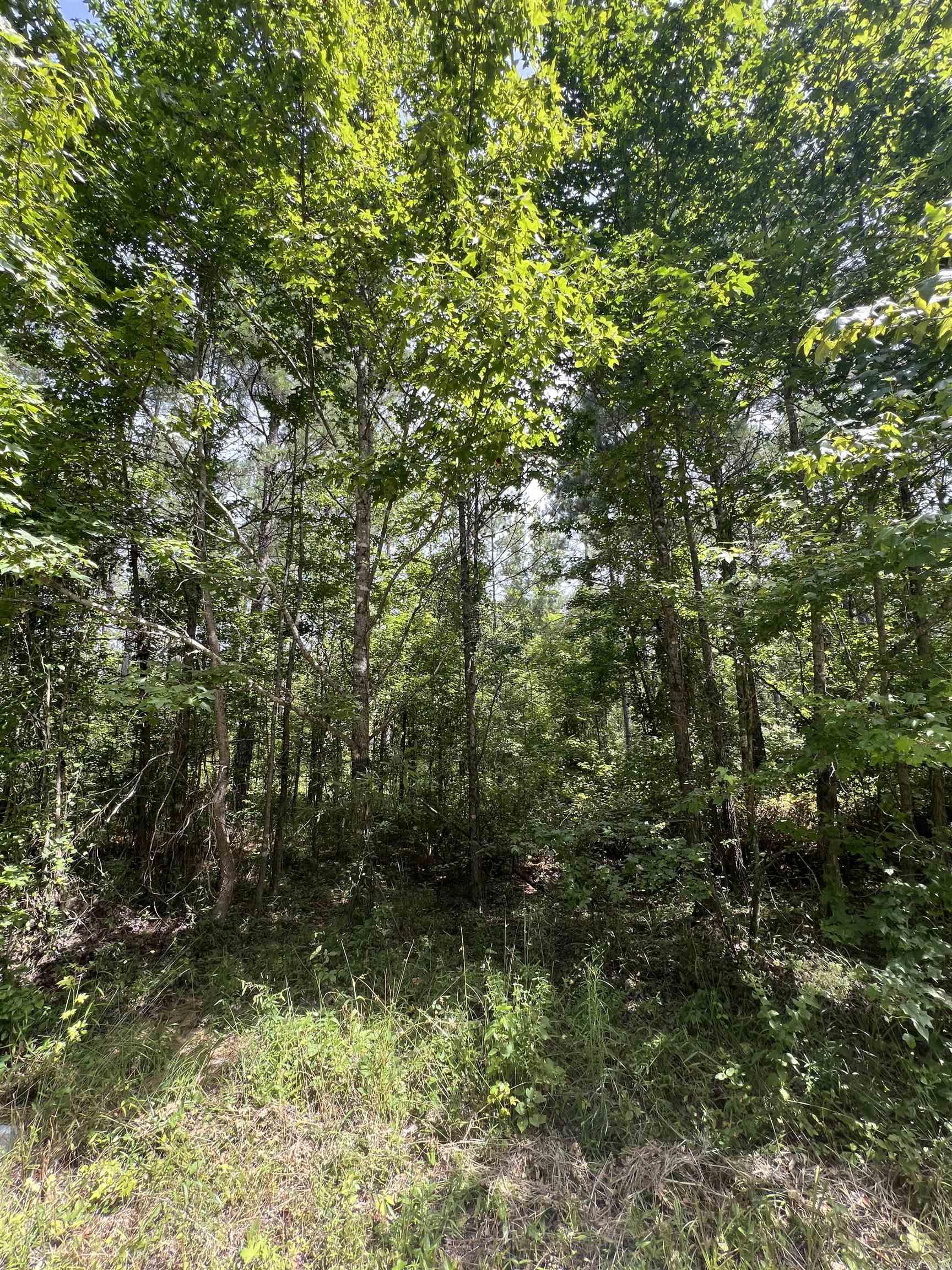 Looking for a place to build your dream home. This lot is located north of town off 167, convenient to Sheridan, Little Rock. Plenty of timber for lots of shade.