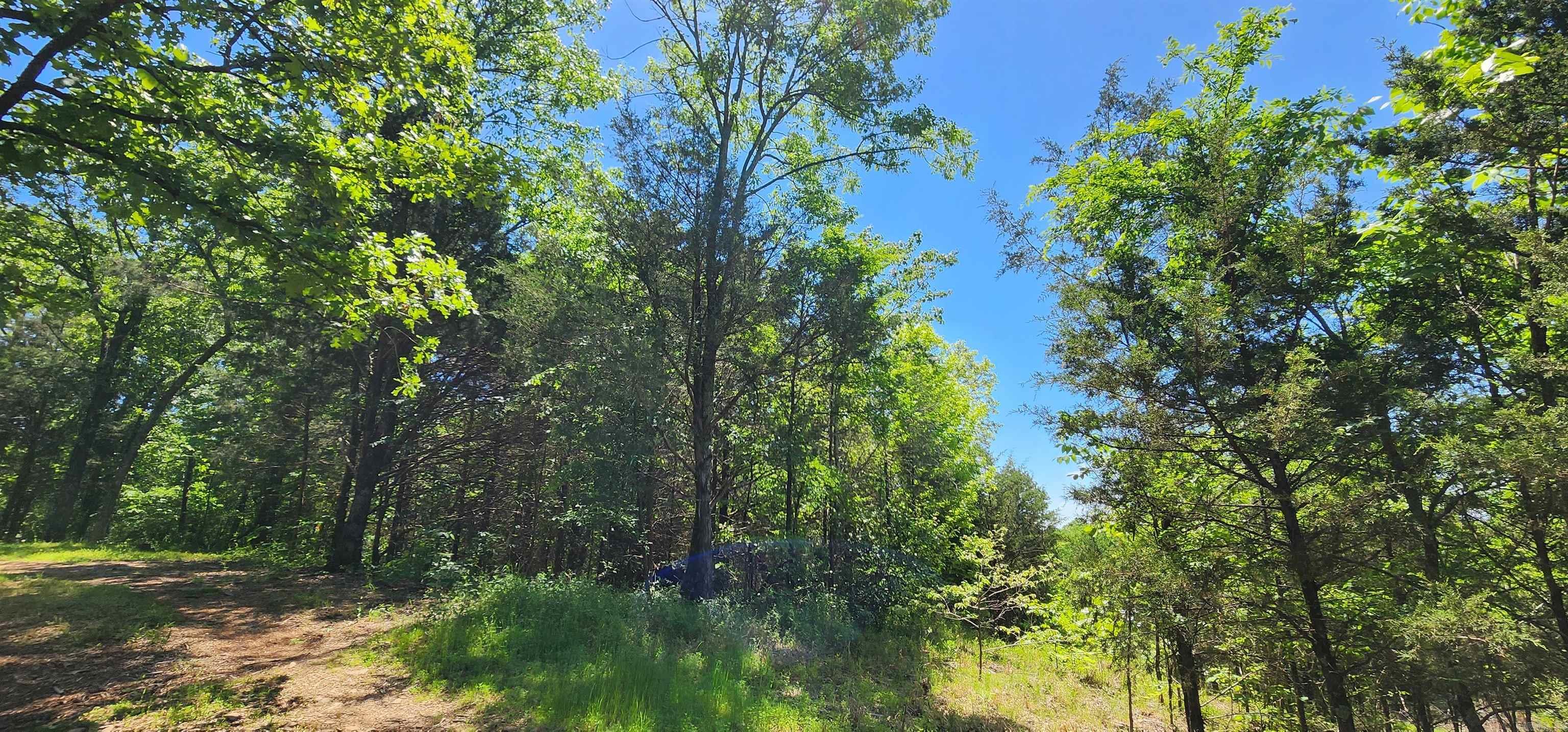 Hillside lot in a quiet established subdivision on the south end of Russellville City Limits. It is the last undeveloped hilltop lot in the New Hope Acres Subdivision. This residential lot boasts country life while still being in the city. Area has quick access to Russellville amenities as well as Dardanelle and Pottsville. Enjoy the outdoors being minutes from the Arkansas River, Mt. Nebo, Old Post Park, and Lake Dardanelle. It is located in Pottsville school district.