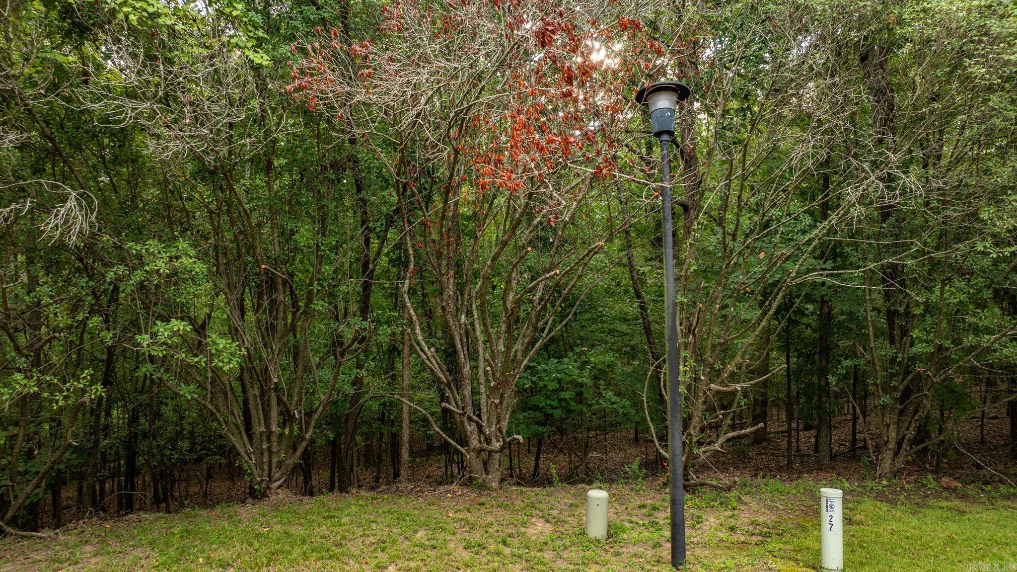 Carriage Creek - Land