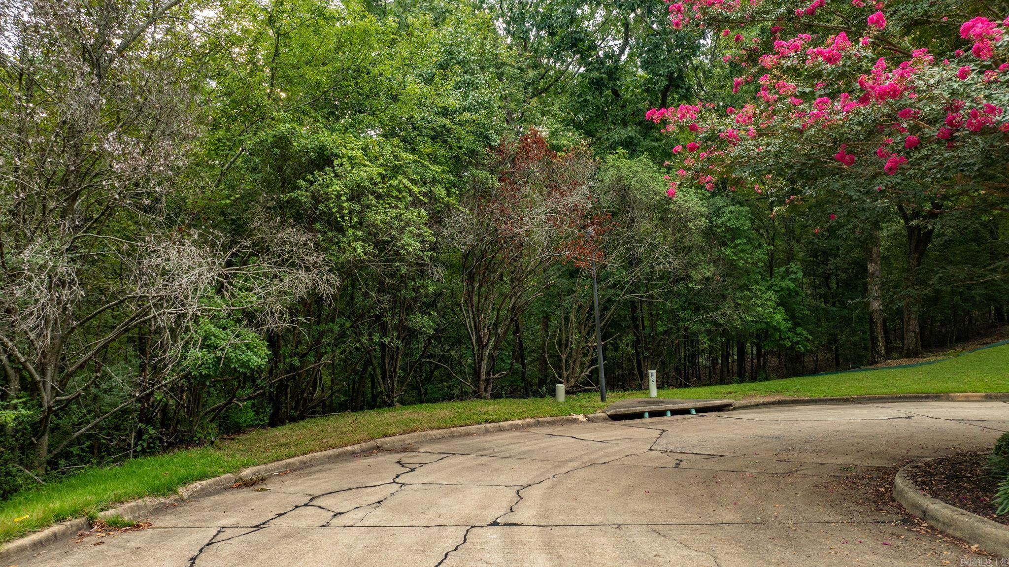 Carriage Creek - Land
