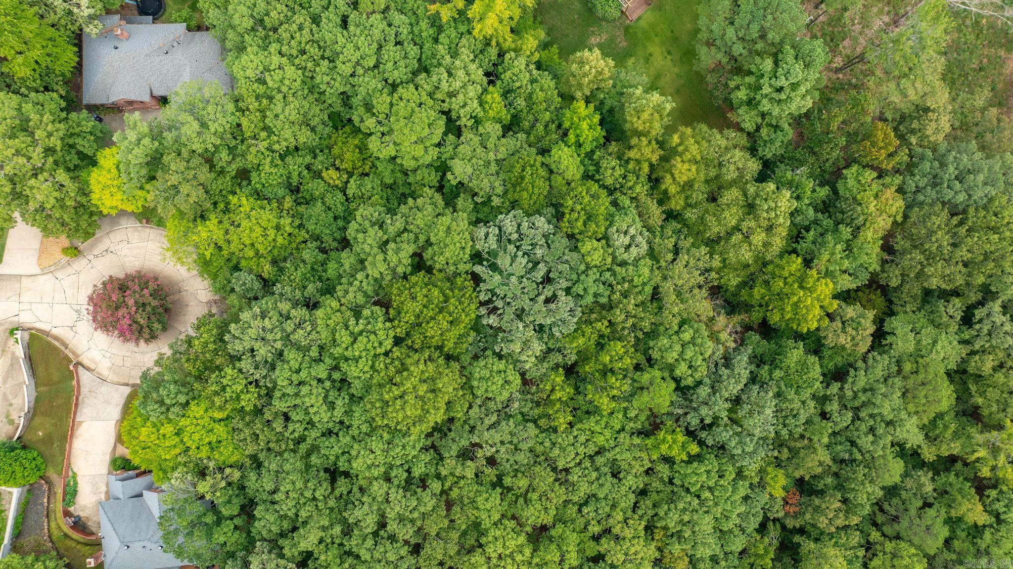 Carriage Creek - Land