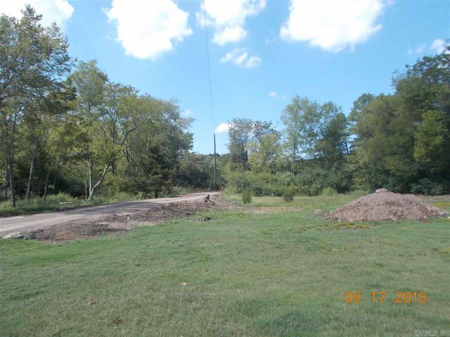 5.24 acres of level land directly behind Pinnacle Valley Road lots. Property is in the 100 year flood plain. Some utilities on property. Close to Maumelle Park, Arkansas River, Two Rivers Park. New homes going up to the west. Owners spent thousands to bring in additional dirt to build up the property. There's a foundation already poured. Build from that or start fresh building your dream home. There is a super nice guests house included in the price. One bedroom and full bath, open living/kitchen area.