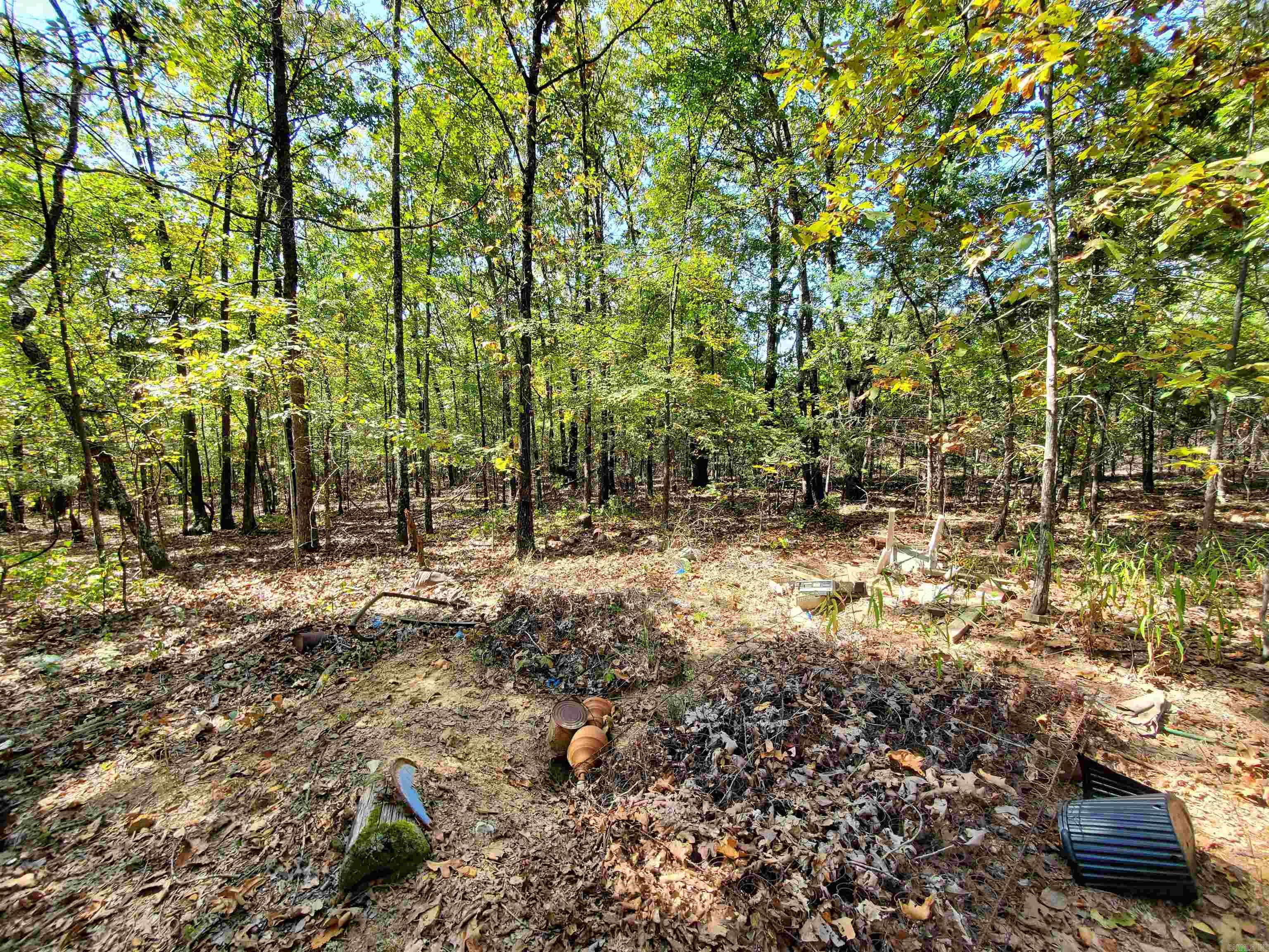 Looking for a private area to build your Dream Home, Look no further!!! Call this Beautiful 20 Acres Home. The property consist of Beautiful Hard Wood Trees, very few Pines, has Water meter at the Road and a Water stub up with shut off valve on the property about middle way back where the old home place was. Well, well house/pump on Property, Electric also already on property. Clear you out a spot in the center and leave the perimeter for privacy, enjoy a wet weather creek and Wildlife. Call today to see this one. Great central location to Cabot, Beebe, Vilonia, El Paso, Conway, Searcy, Heber Springs ... AGENTS SEE REMARKS