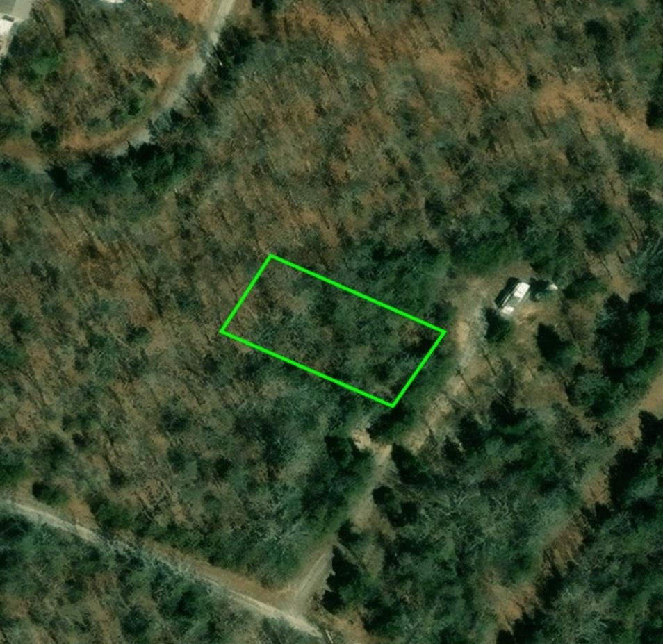 This flat and wooded .31 (+/-) acre lot is ready for you to build your new home. This area is quiet, and only minutes away from 3 lakes and local amenities. Property conveys with a Regular Warranty Deed.