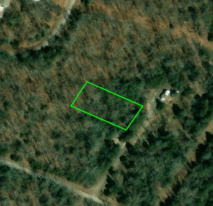 This flat and wooded .31 (+/-) acre lot is ready for you to build your new home. This area is quiet, and only minutes away from 3 lakes and local amenities. Property conveys with a Regular Warranty Deed.