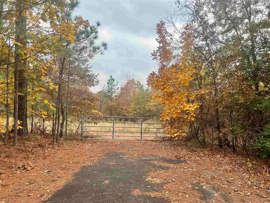 Looking for land for residential purposes, commercial opportunity, recreational, or to develop? This 20.64 acres off Hwy 270 in Malvern is ready for you and your vision! No restrictions and outside city limits, the possibilities here are endless. Property already has water meter, electricity, and a driveway. Property also has a small creek on the backside of the property if you've been looking for the perfect homestead site. Please register with listing agent before viewing the property and I can send a pin, and make sure you wear your hunter orange for your protection during deer season.