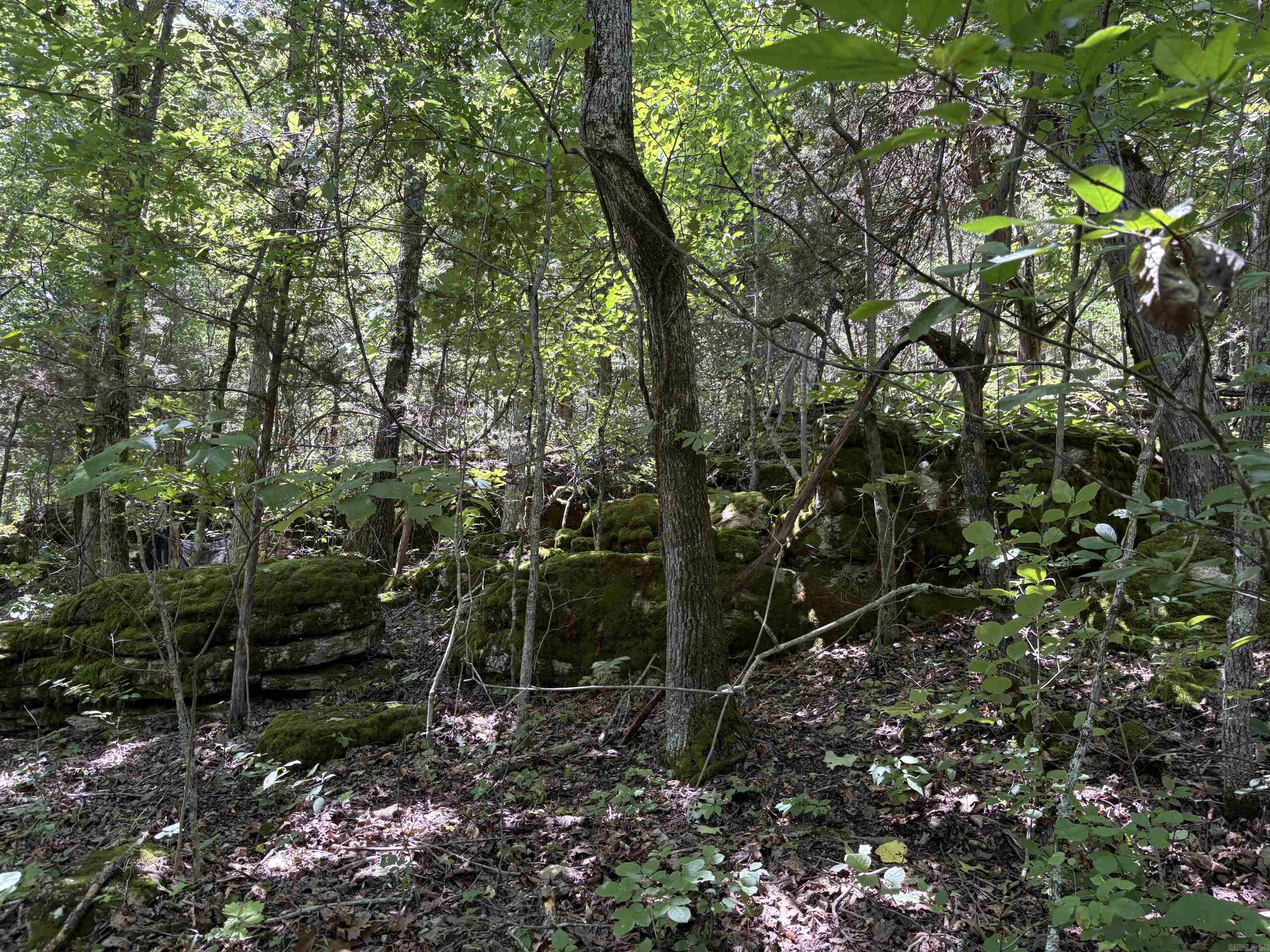 Not in Subdivision - Land